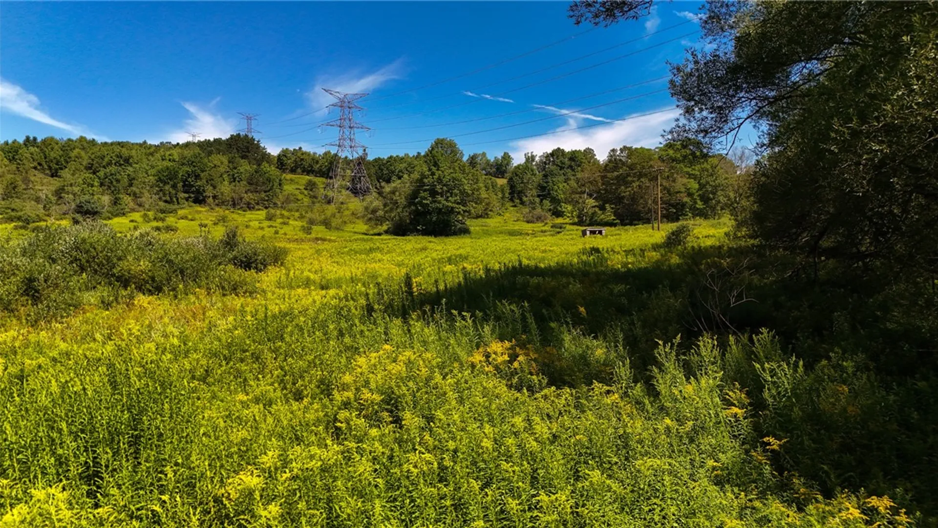 Property at 6 County Highway 12, Laurens, NY 13796 3