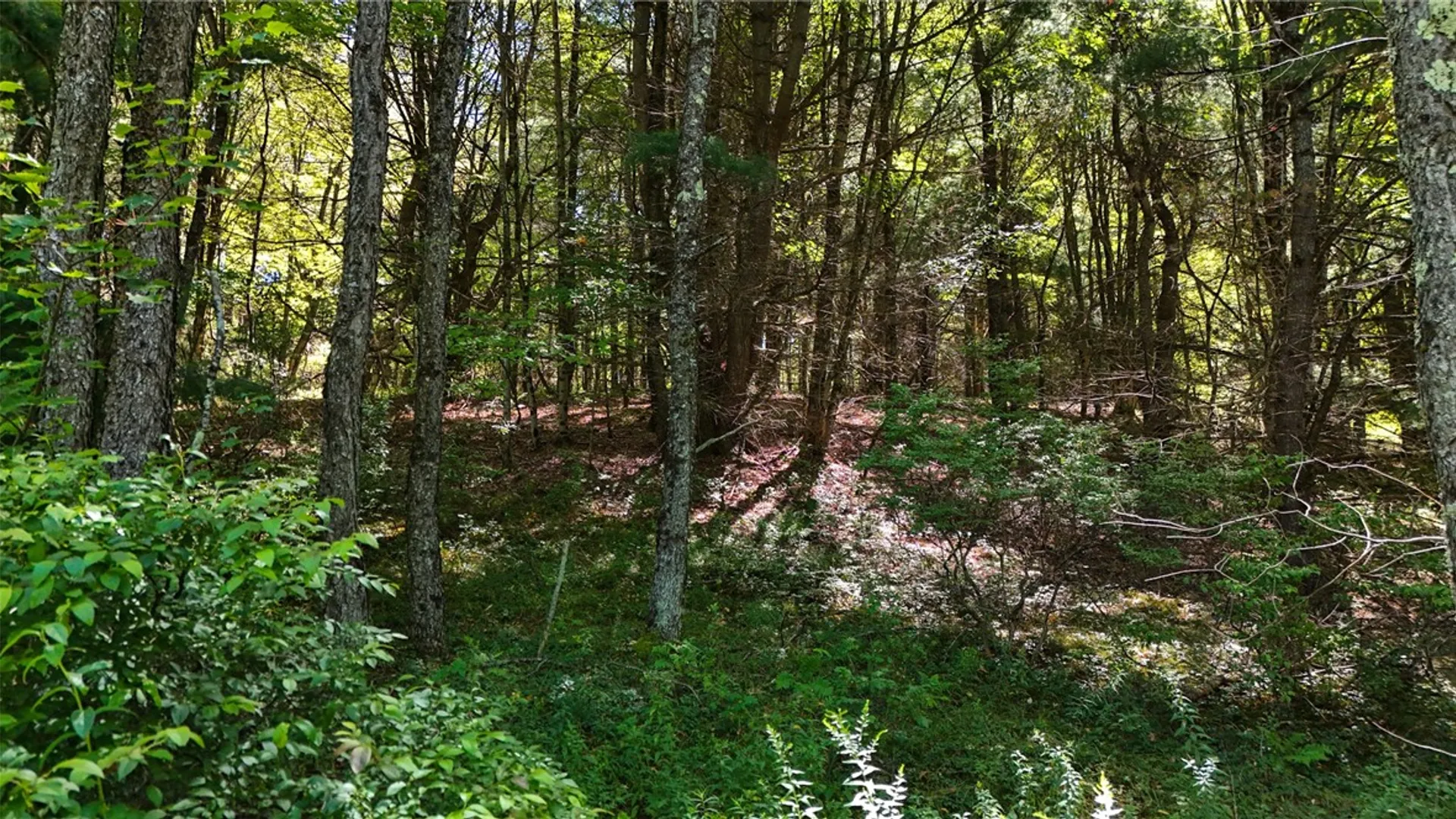 Property at 6 County Highway 12, Laurens, NY 13796 5