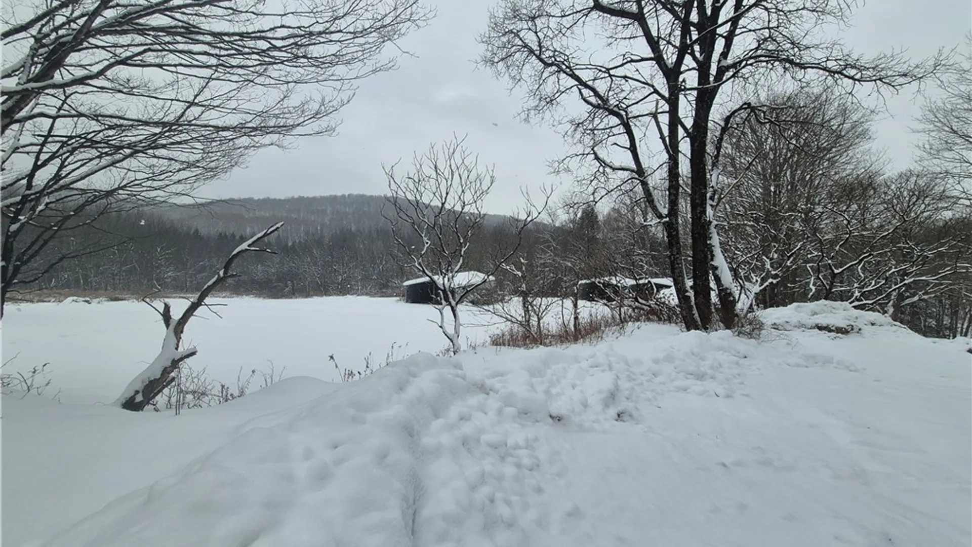 Property at 294 Will Warner Road, Otselic, NY 13155 14