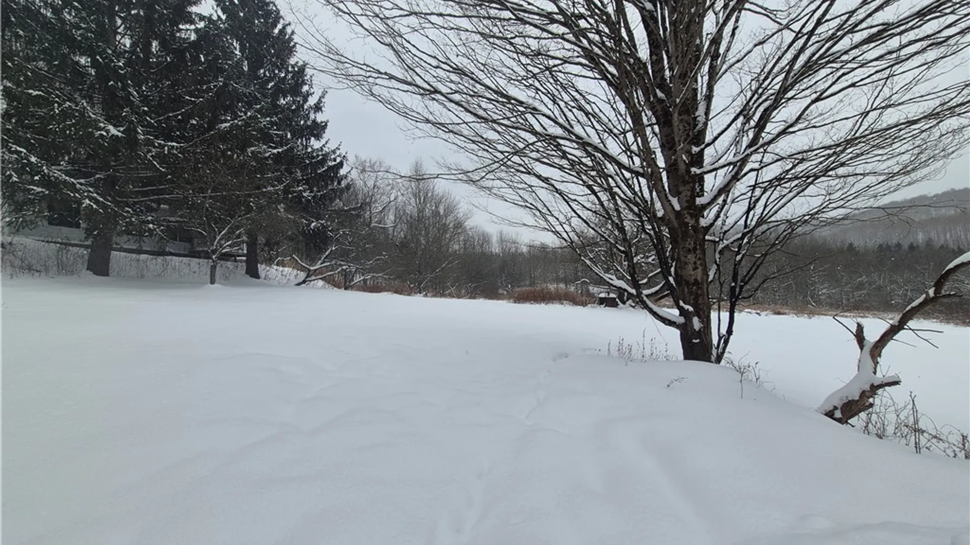 Property at 294 Will Warner Road, Otselic, NY 13155 16