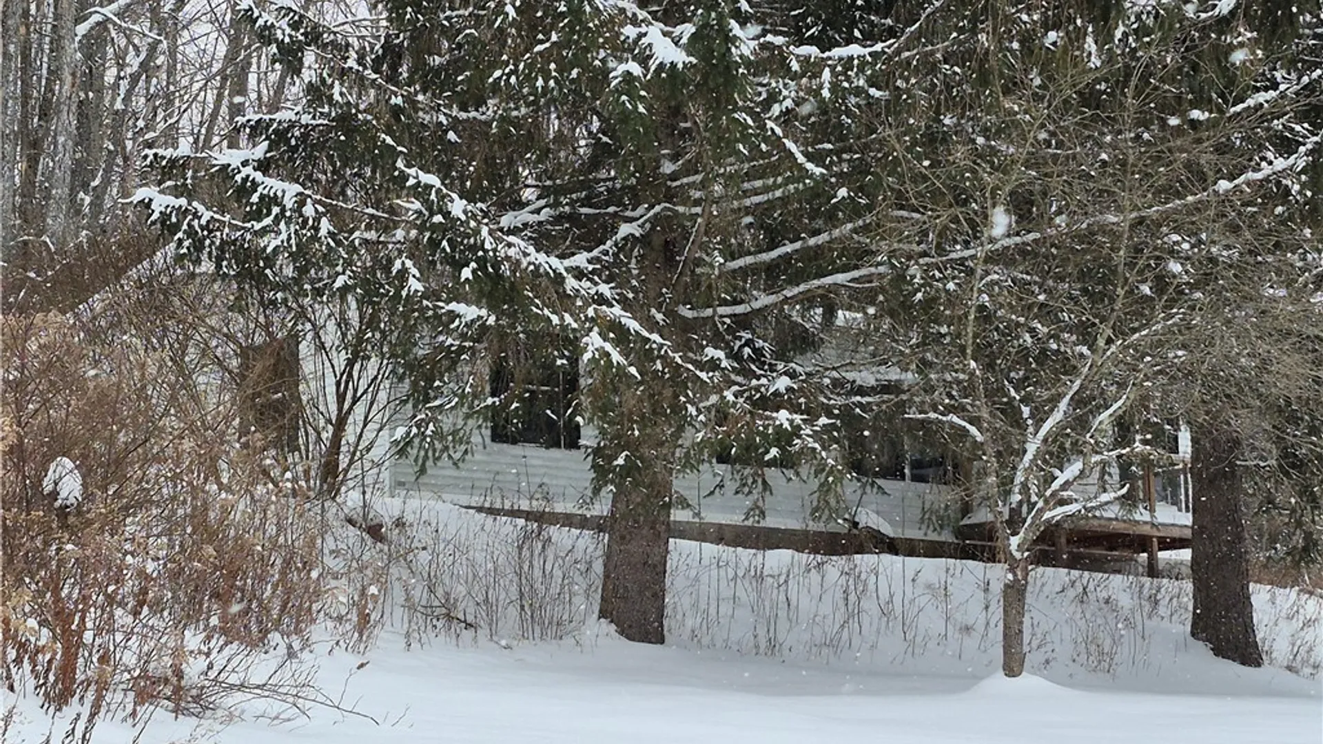 Property at 294 Will Warner Road, Otselic, NY 13155 4