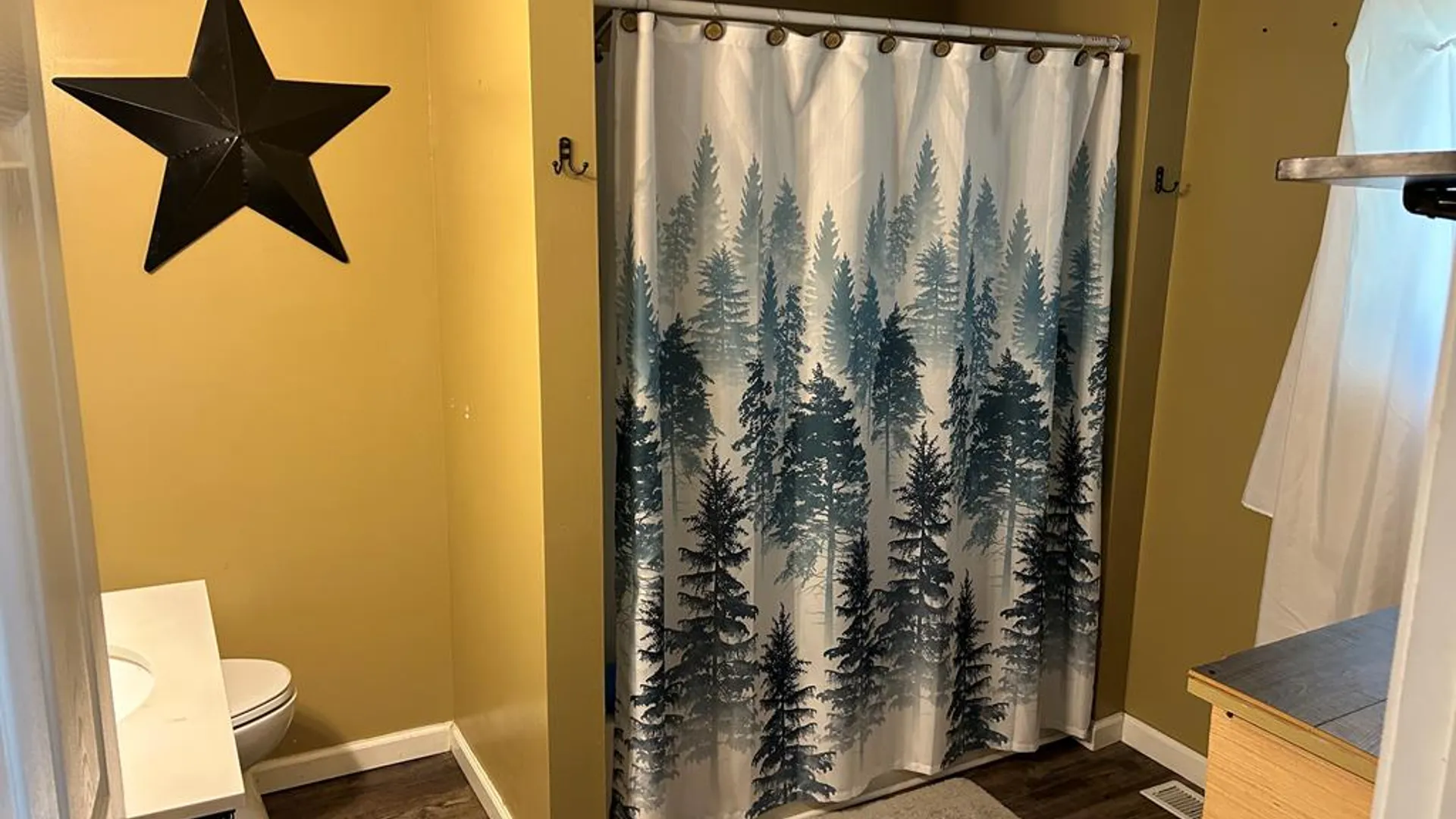 Property at 3981 County Route 70A, Howard, NY 14809 21