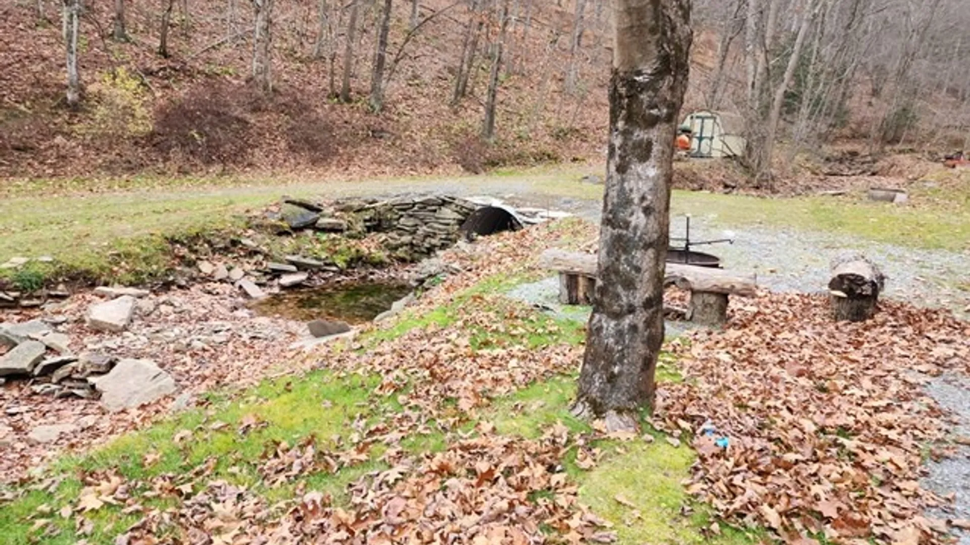 Property at 302 Jakes Ln./Mason Hill Rd., Gibson, PA 15832 21