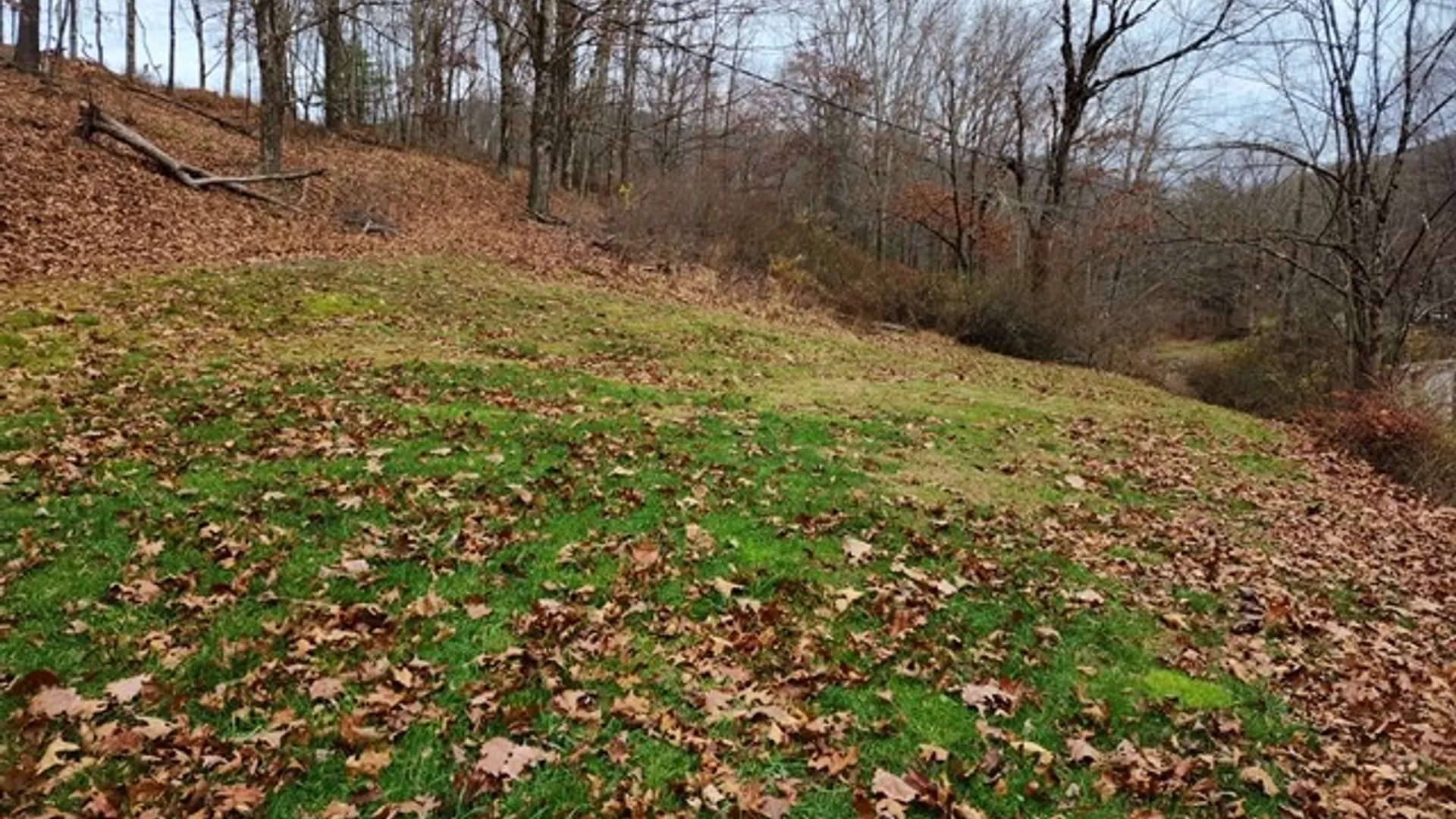 Property at 302 Jakes Ln./Mason Hill Rd., Gibson, PA 15832 22