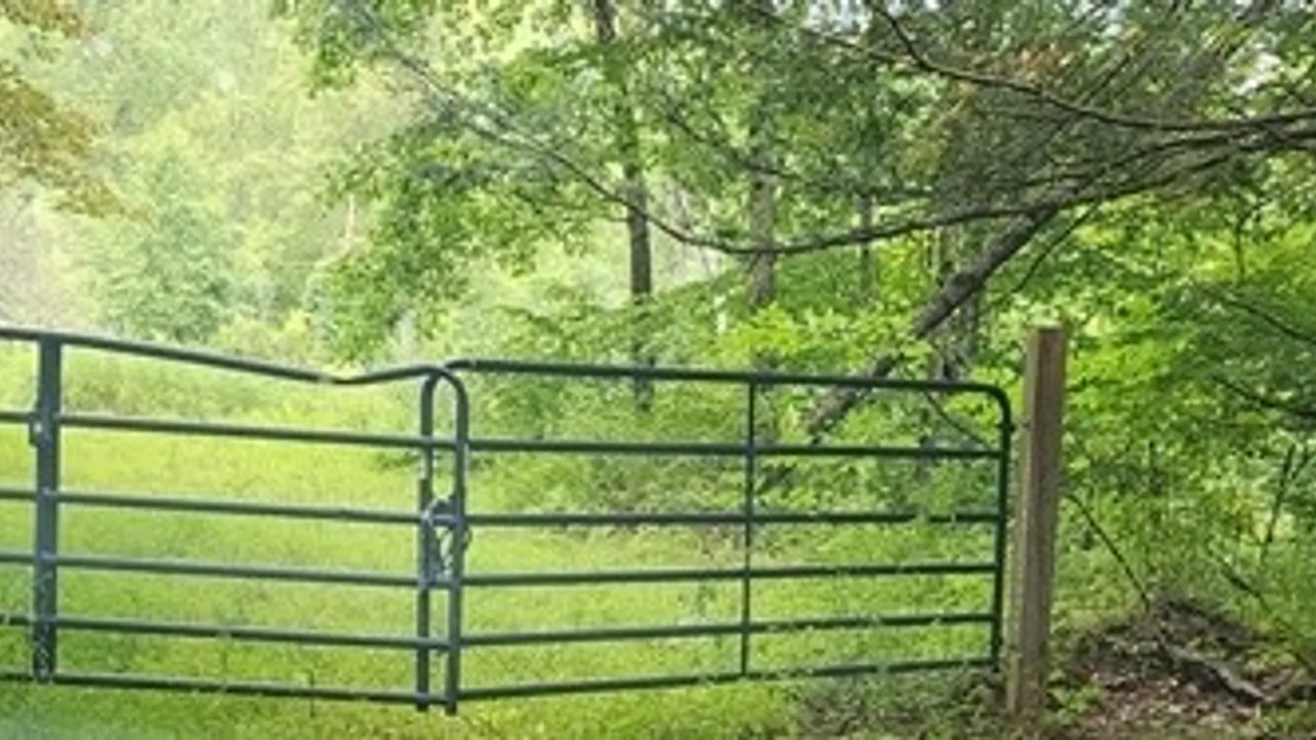 Property at 302 Jakes Ln./Mason Hill Rd., Gibson, PA 15832 3