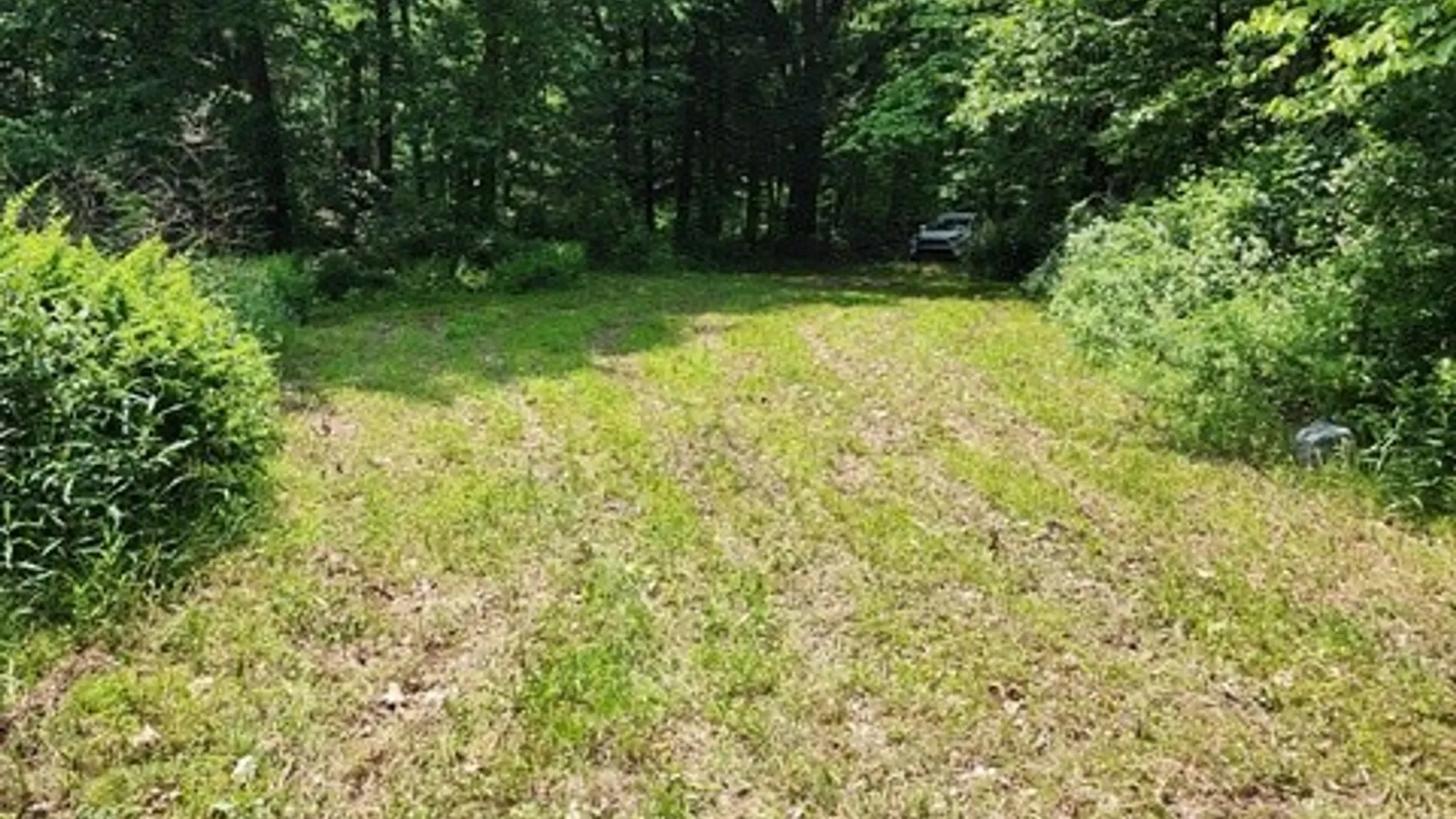 Property at 302 Jakes Ln./Mason Hill Rd., Gibson, PA 15832 4
