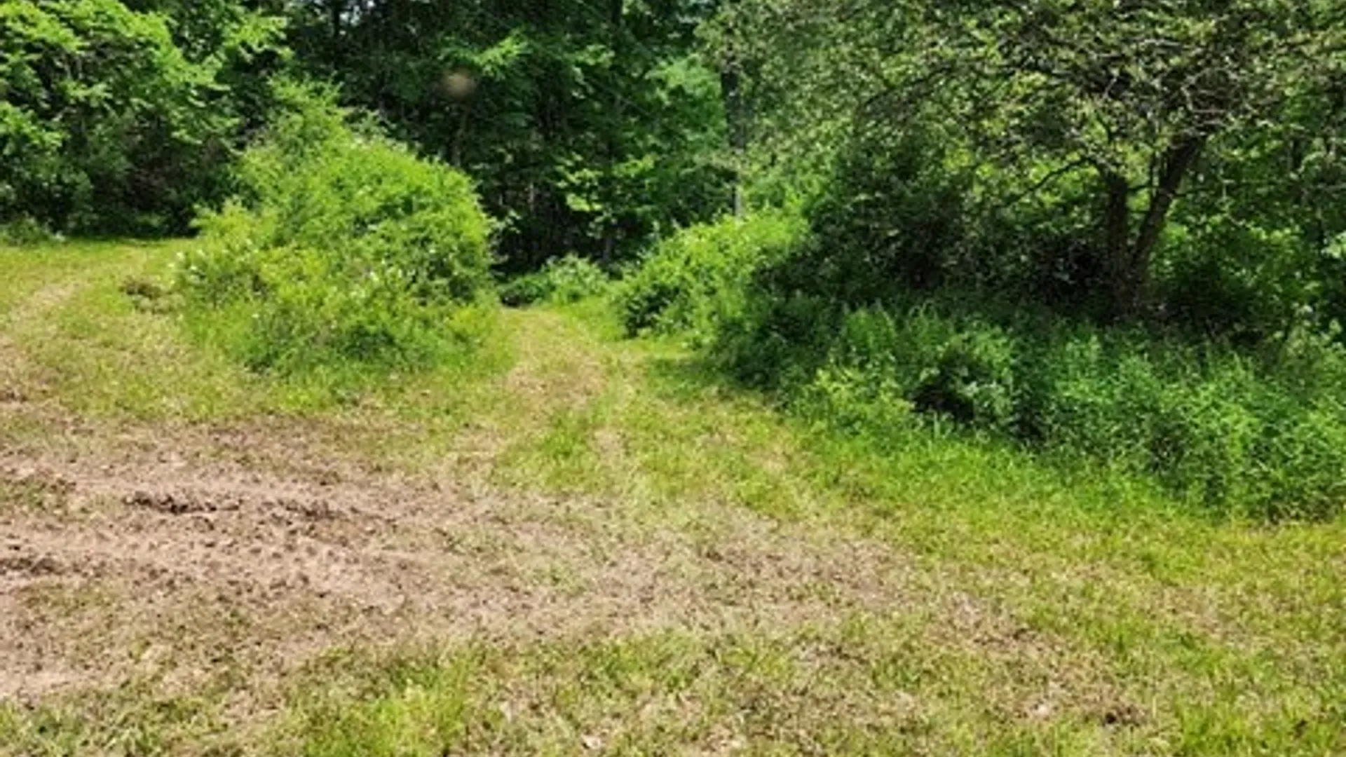 Property at 302 Jakes Ln./Mason Hill Rd., Gibson, PA 15832 5