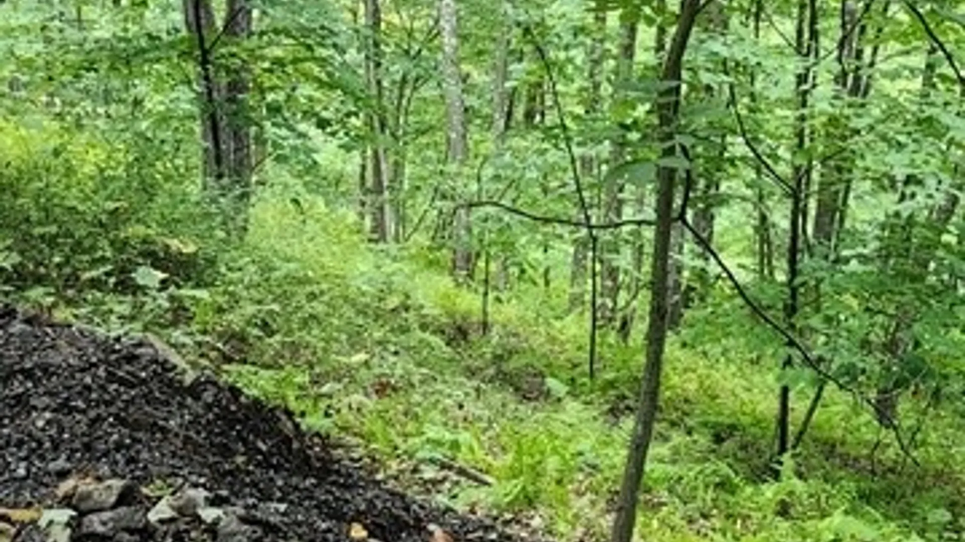 Property at 302 Jakes Ln./Mason Hill Rd., Gibson, PA 15832 7