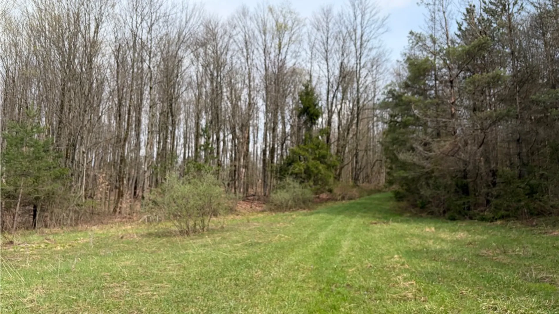 Property at West Hill Road, Ellington, NY 14740 2