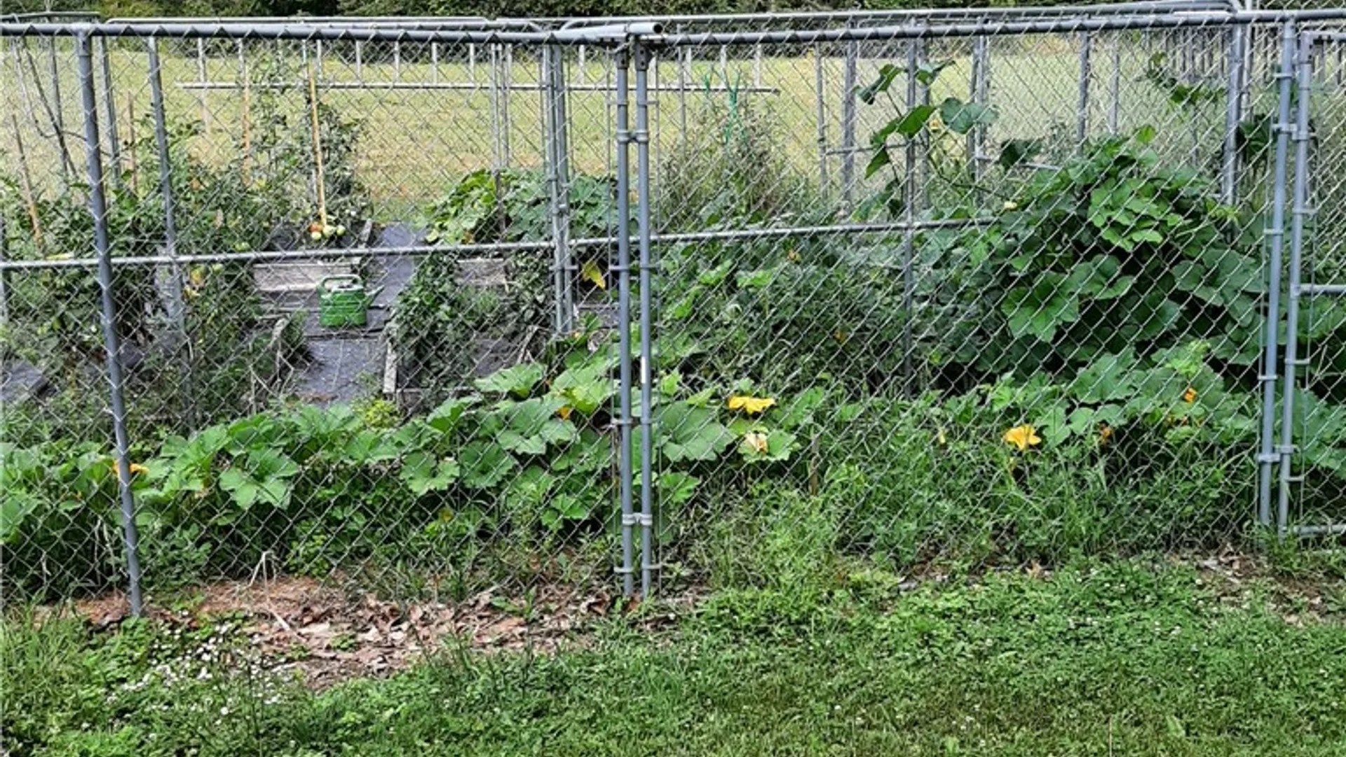 Property at 8305 County Route 13, Wheeler, NY 14810 42