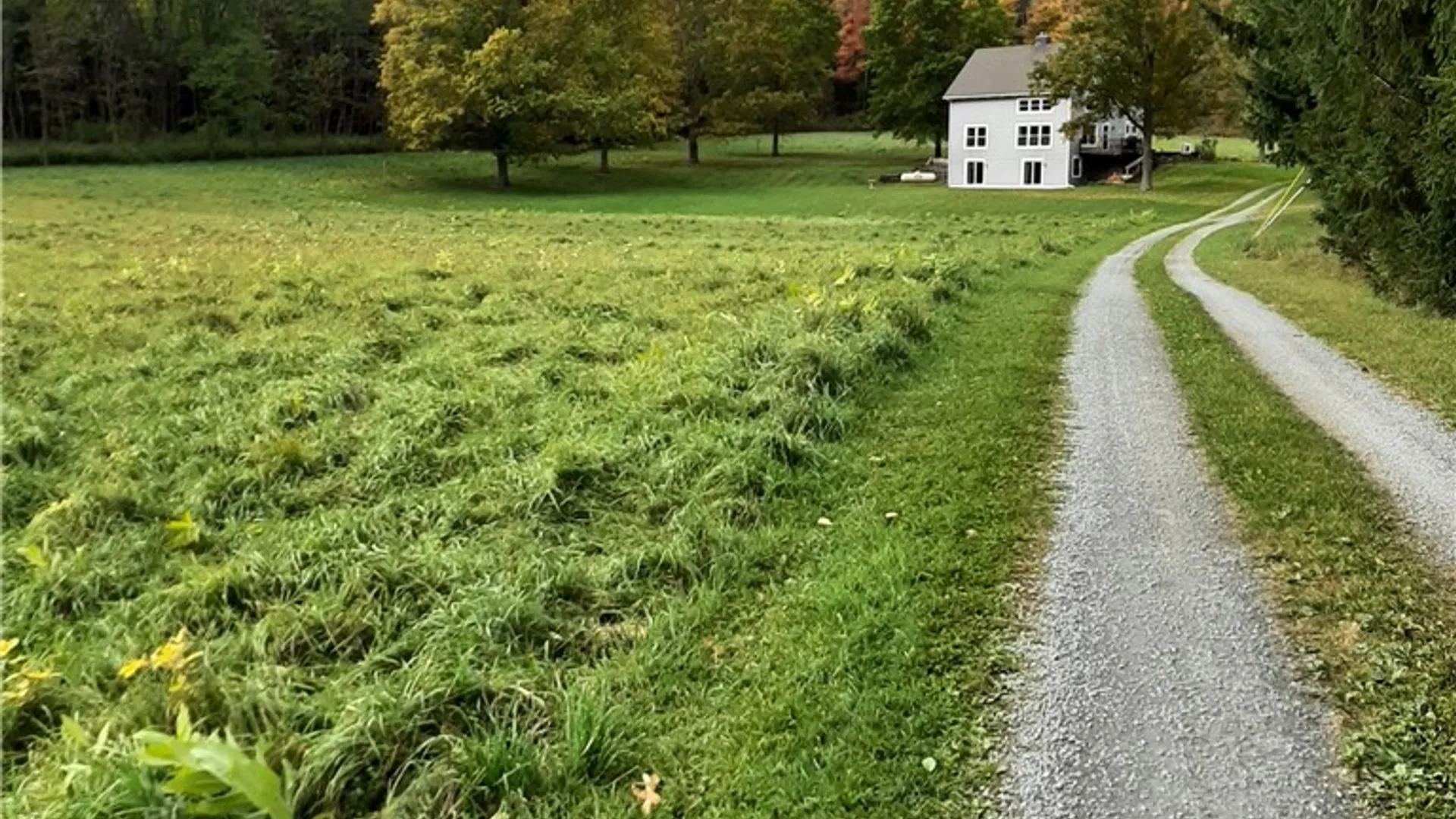 Property at 8305 County Route 13, Wheeler, NY 14810 44