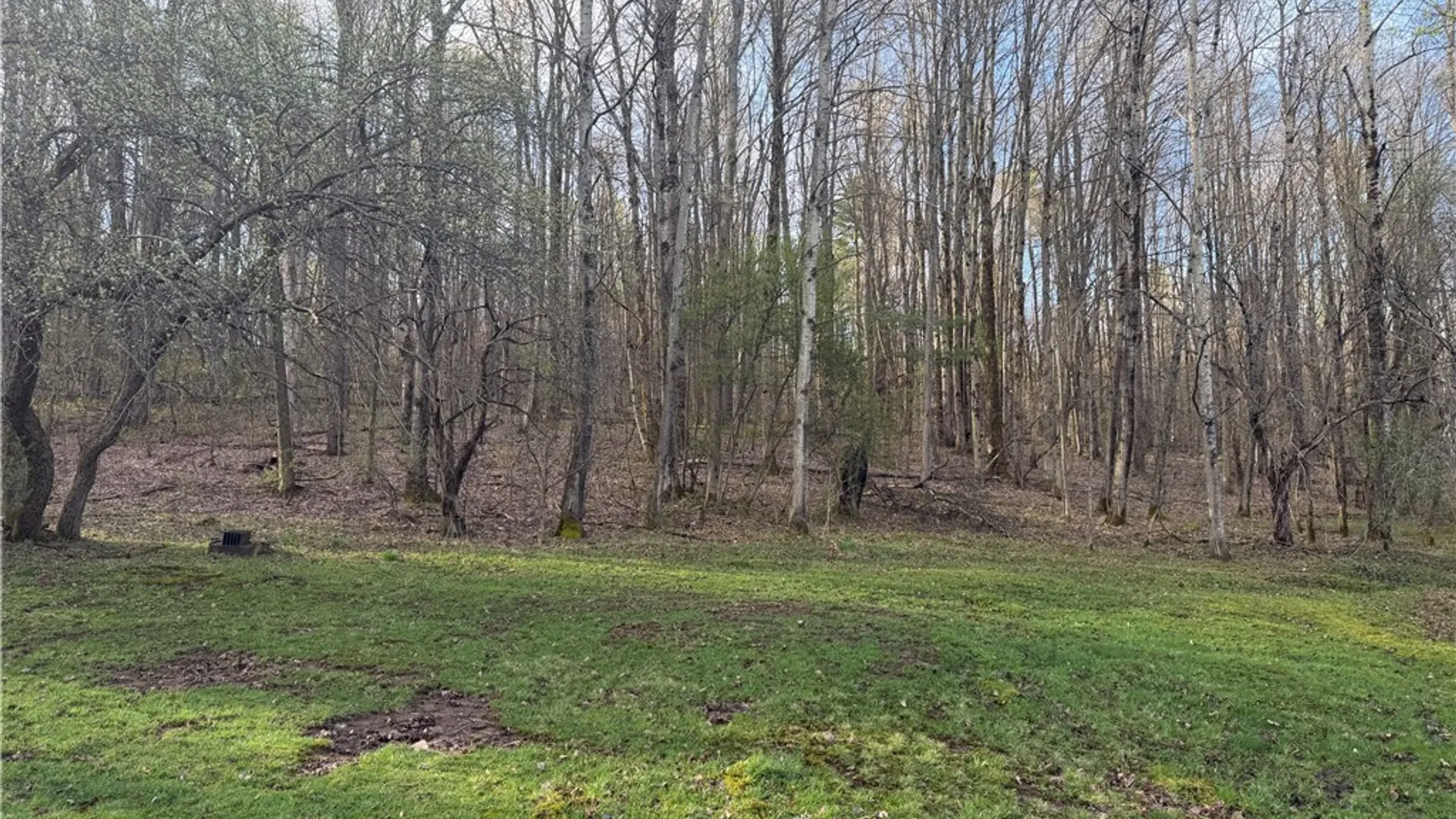 Property at 8305 Jordan Hill Road, Clarksville, NY 14715 11