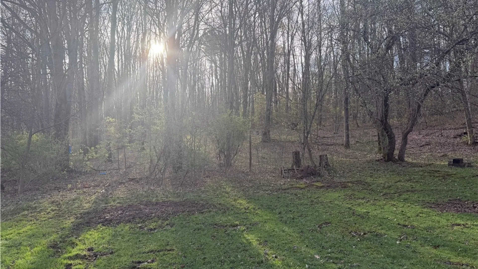 Property at 8305 Jordan Hill Road, Clarksville, NY 14715 12