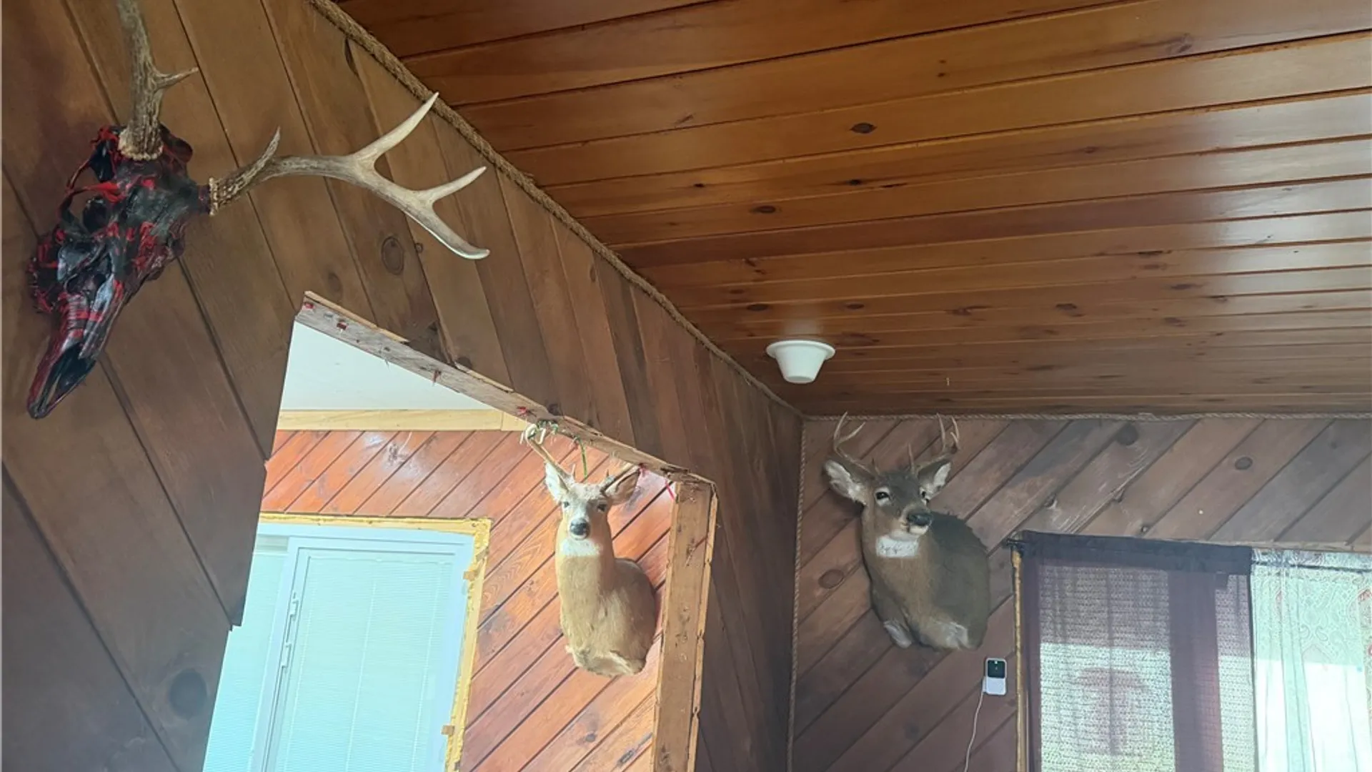 Property at 8305 Jordan Hill Road, Clarksville, NY 14715 26