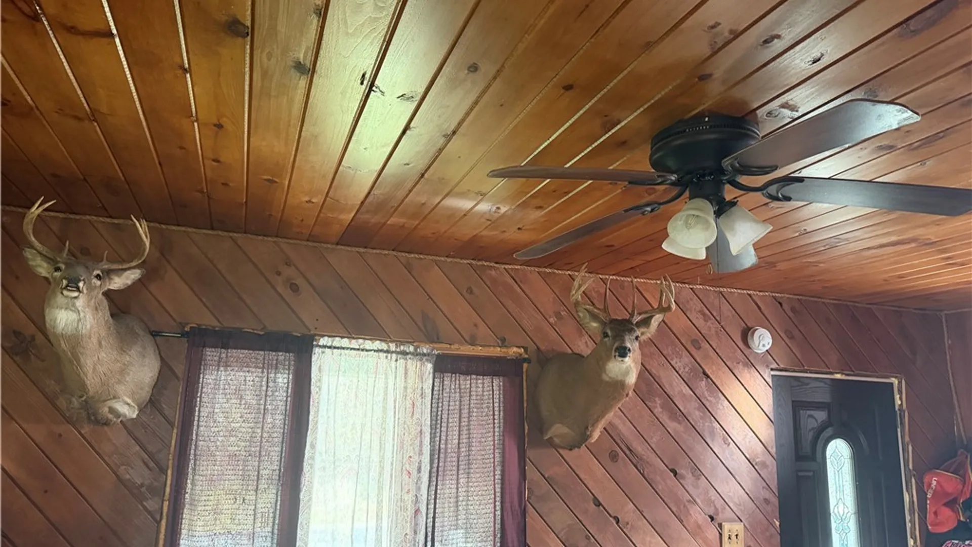 Property at 8305 Jordan Hill Road, Clarksville, NY 14715 27