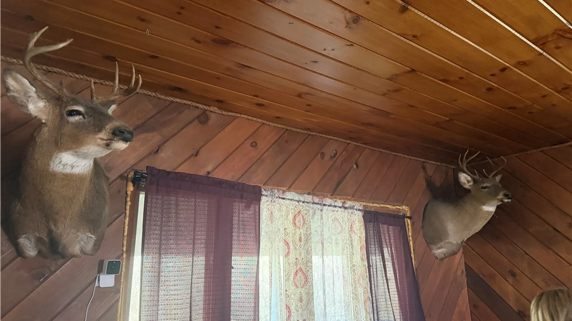 Property at 8305 Jordan Hill Road, Clarksville, NY 14715 28