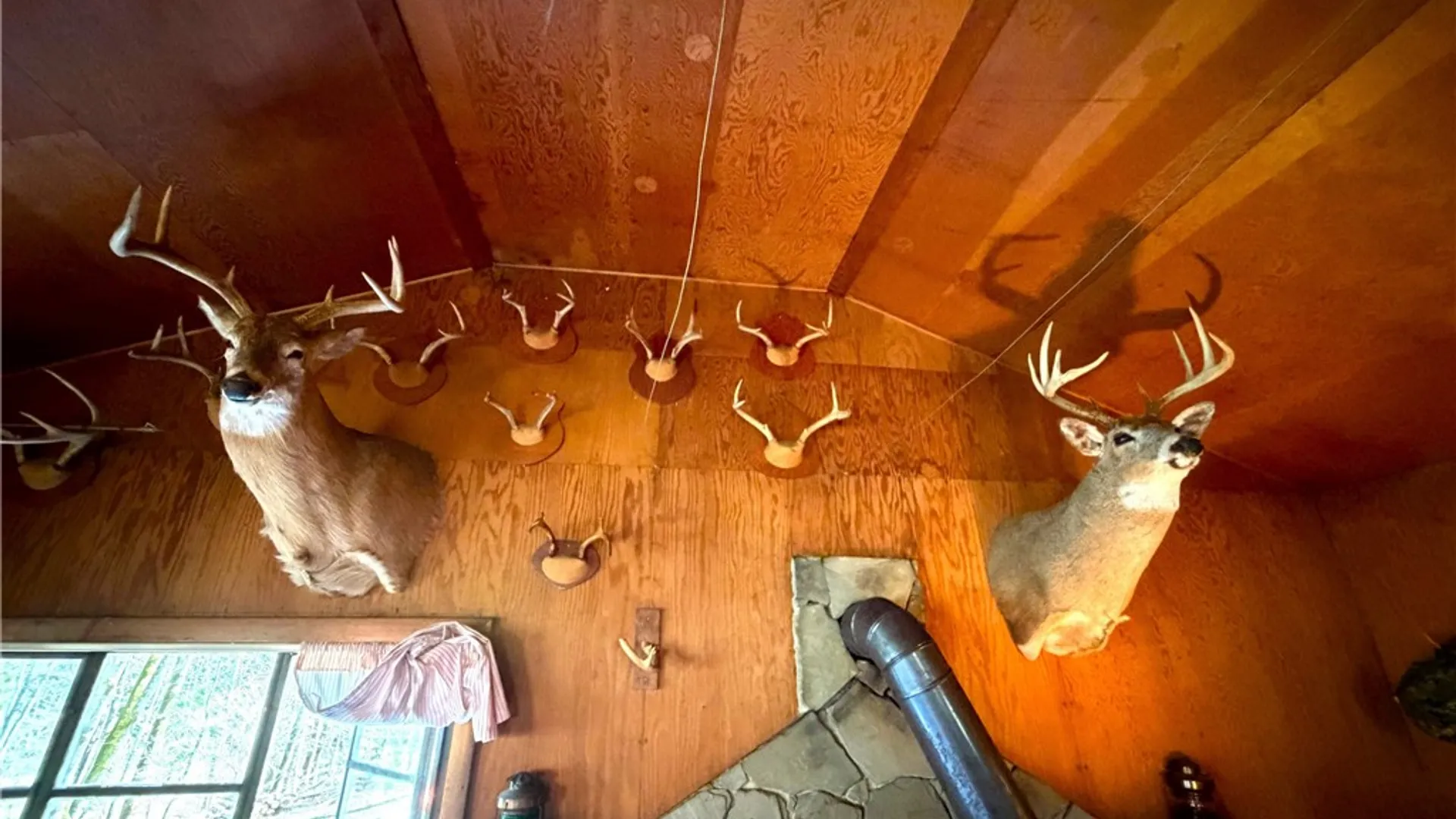 Property at 2856 Zimmer Road, Wirt, NY 14739 13