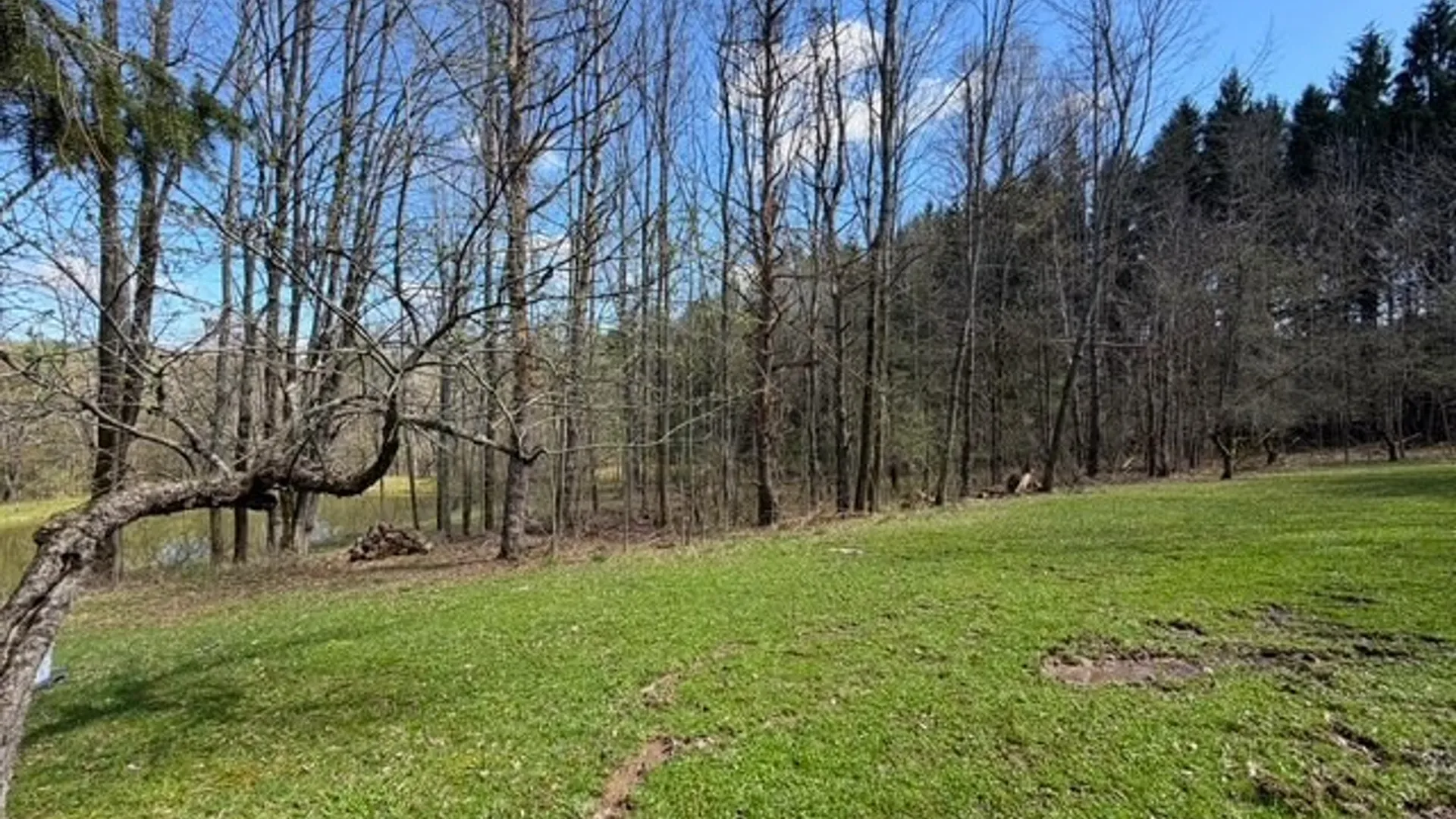 Property at 2856 Zimmer Road, Wirt, NY 14739 21