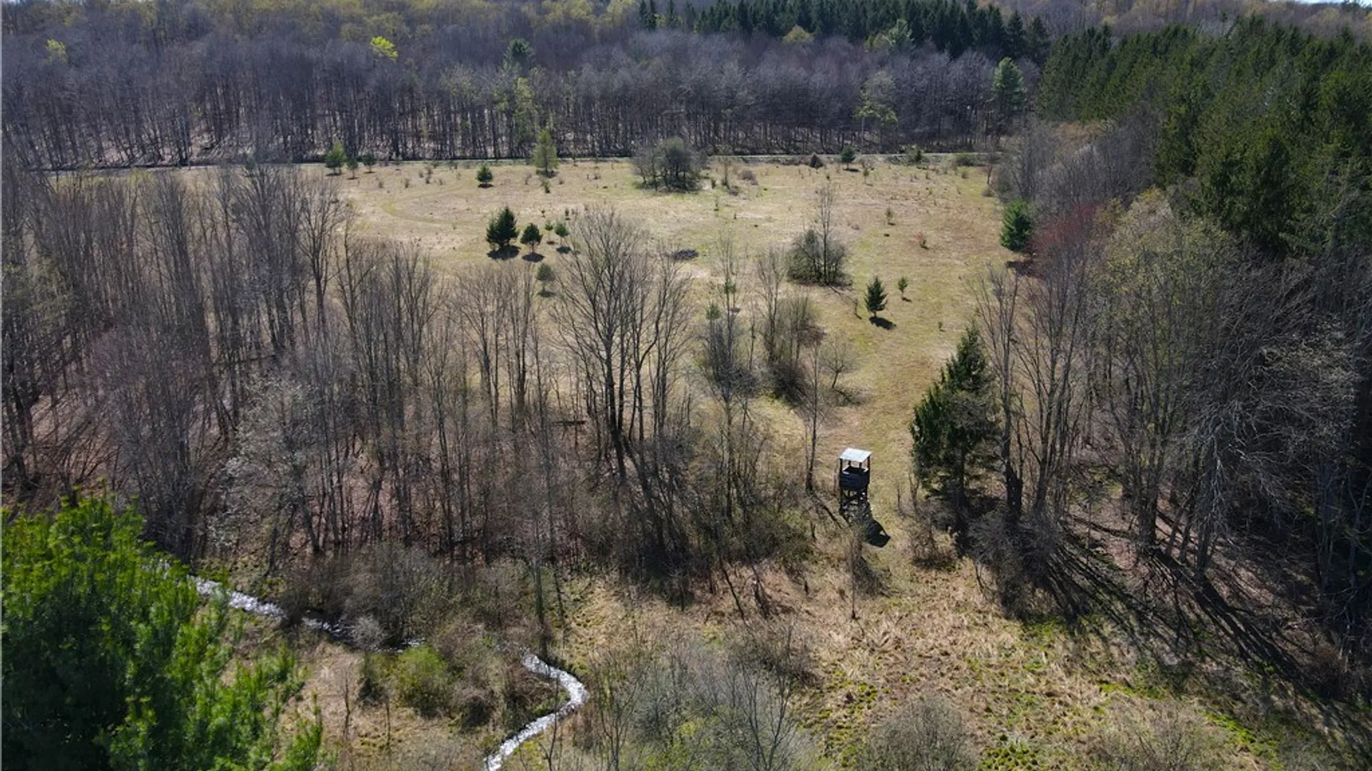 Property at 2856 Zimmer Road, Wirt, NY 14739 23