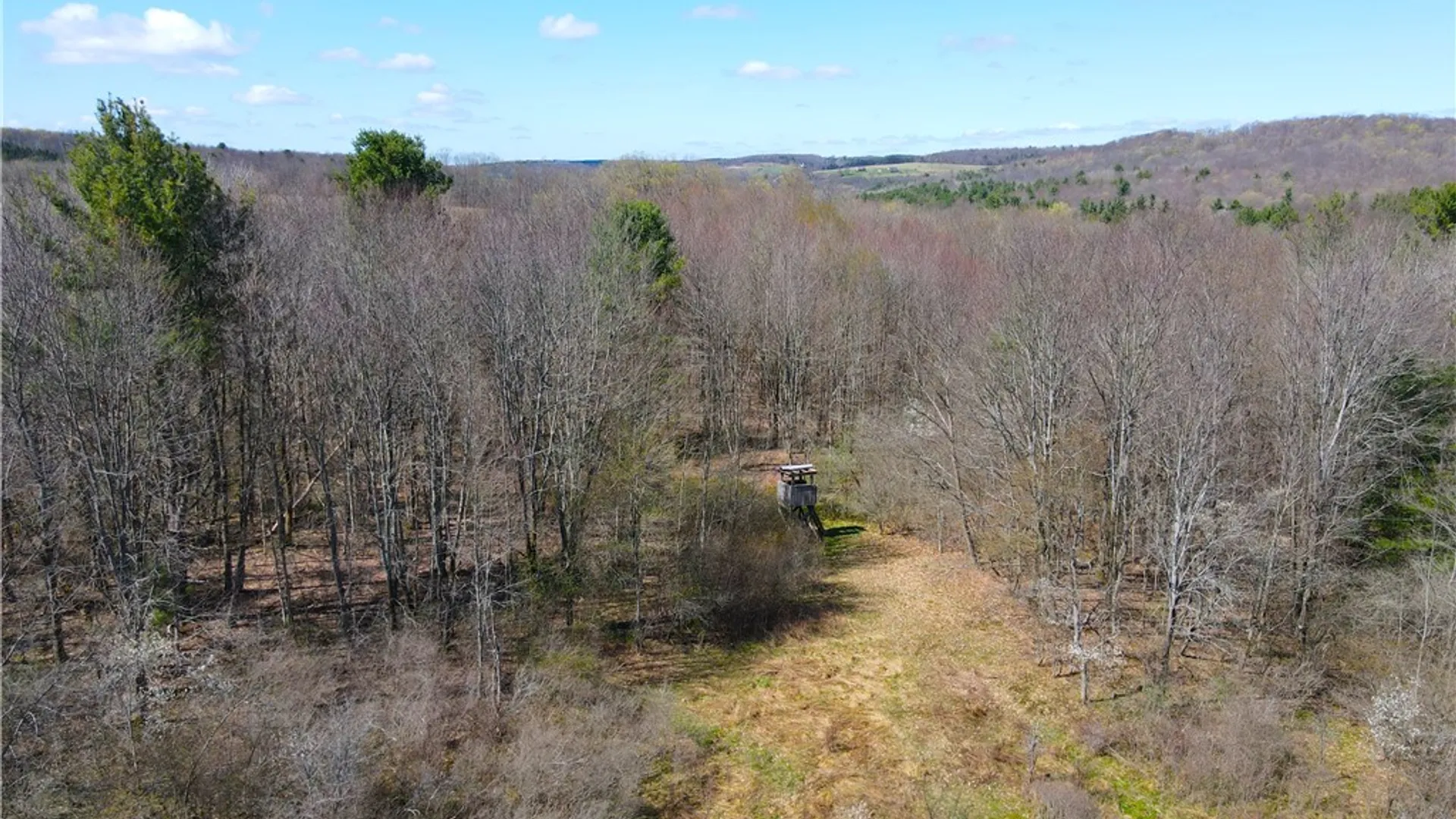 Property at 2856 Zimmer Road, Wirt, NY 14739 24