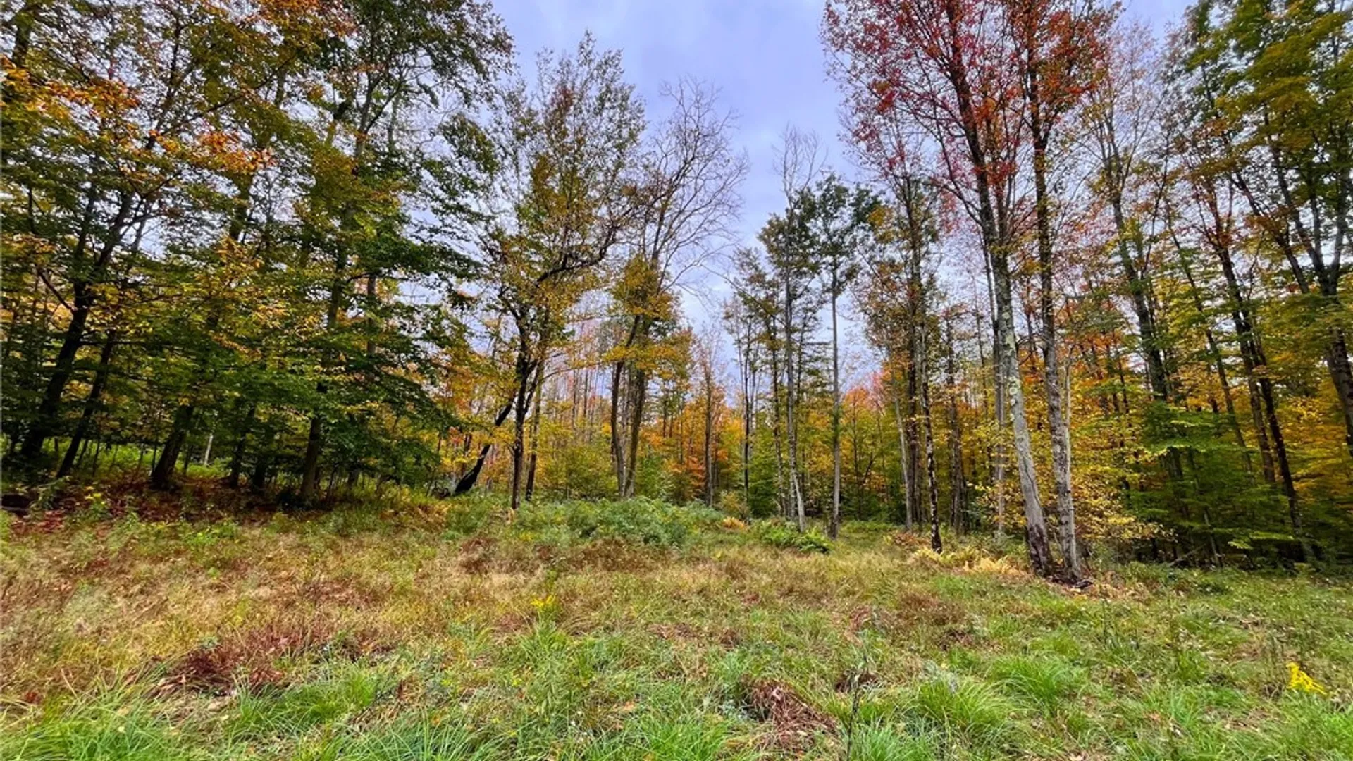 Property at 2856 Zimmer Road, Wirt, NY 14739 26