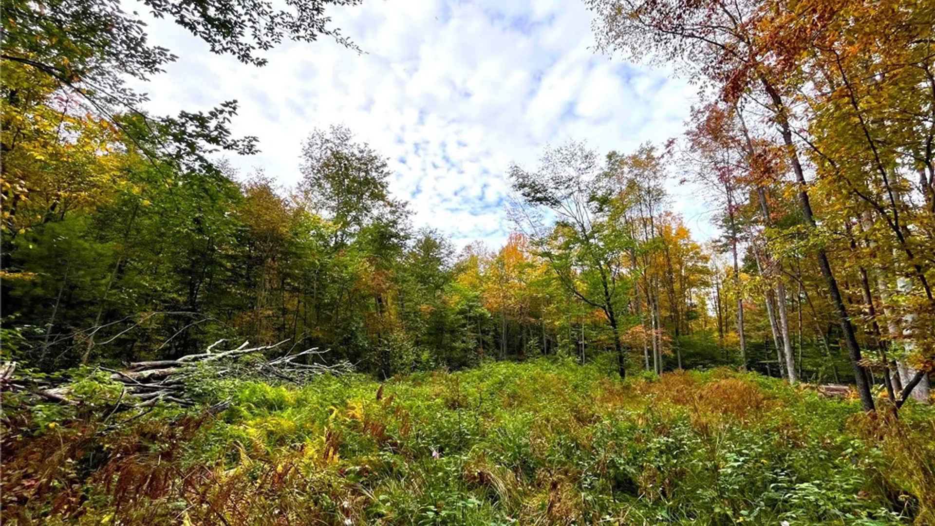 Property at 2856 Zimmer Road, Wirt, NY 14739 27