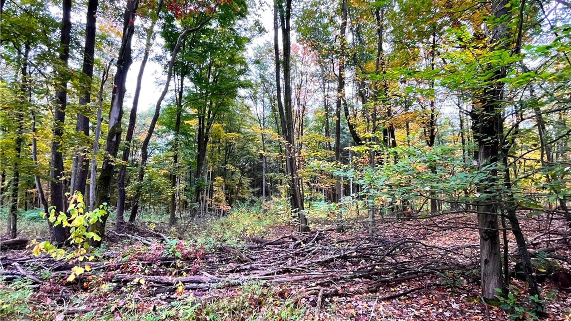 Property at 2856 Zimmer Road, Wirt, NY 14739 28