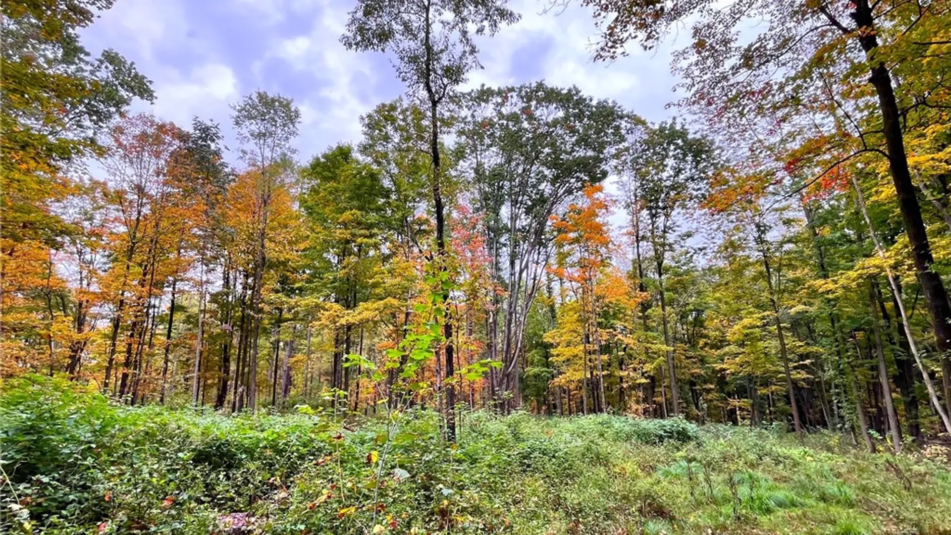 Property at 2856 Zimmer Road, Wirt, NY 14739 29