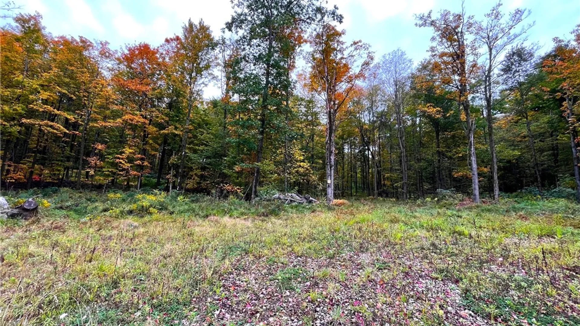 Property at 2856 Zimmer Road, Wirt, NY 14739 31