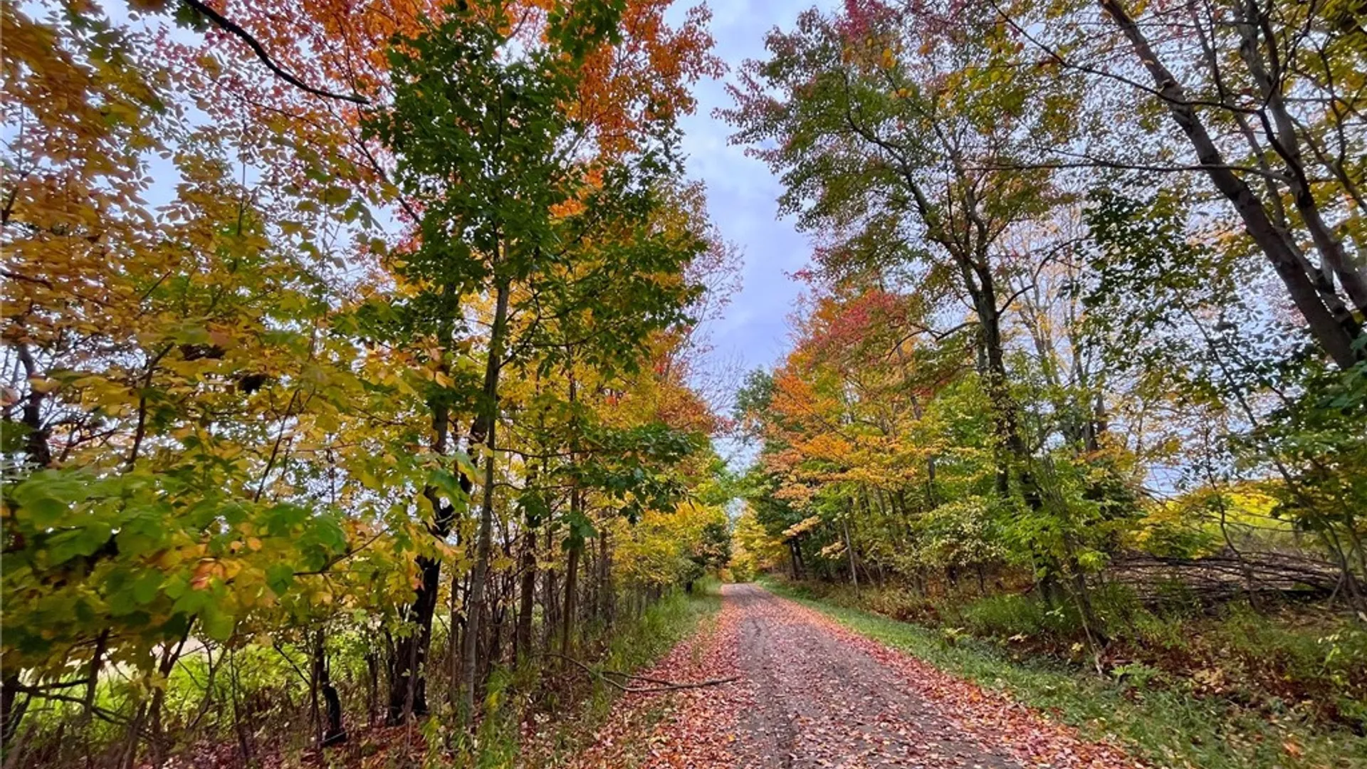 Property at 2856 Zimmer Road, Wirt, NY 14739 32