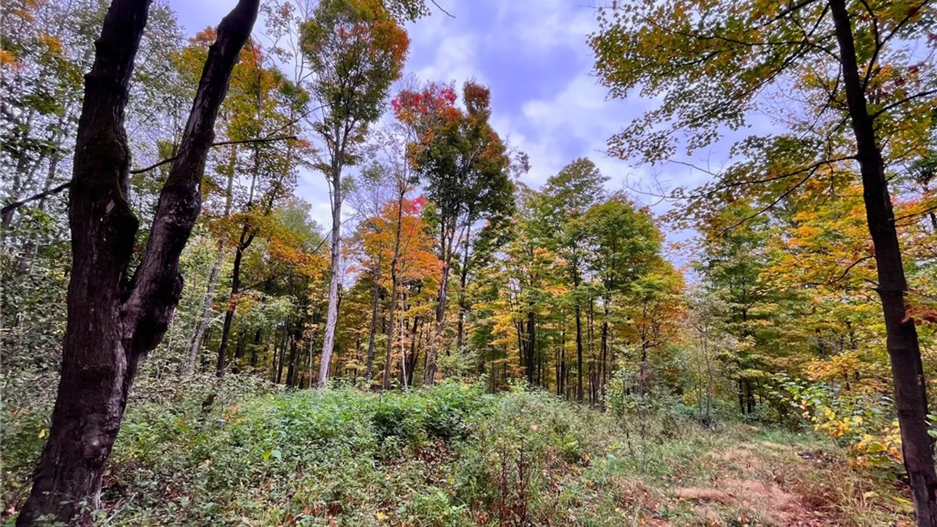 Property at 2856 Zimmer Road, Wirt, NY 14739 34