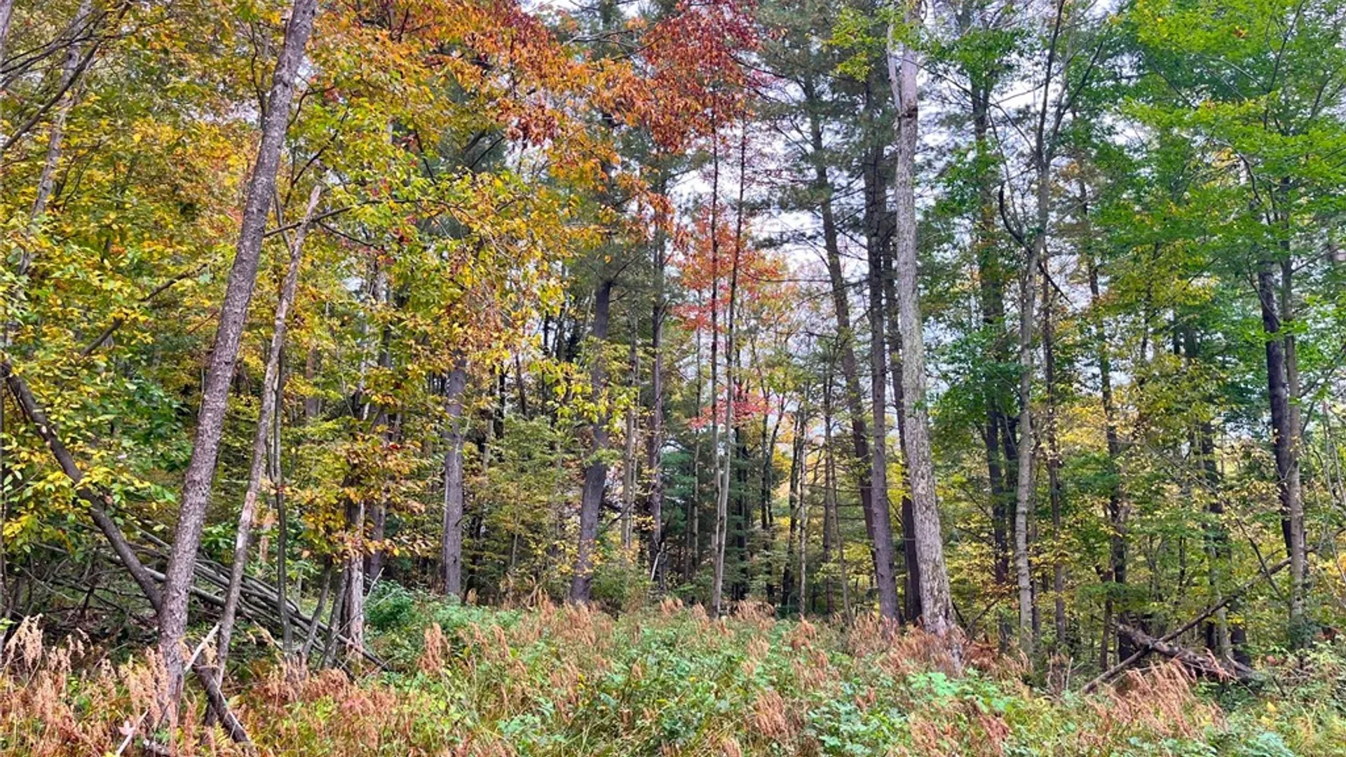 Property at 2856 Zimmer Road, Wirt, NY 14739 37