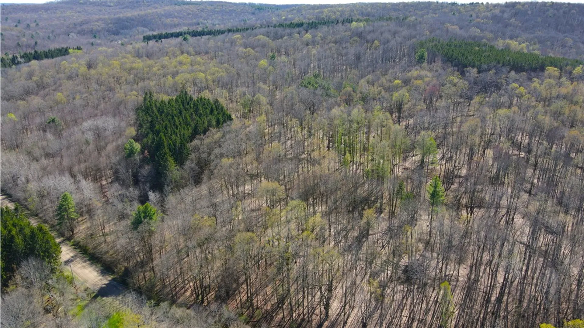 Property at 2856 Zimmer Road, Wirt, NY 14739 39