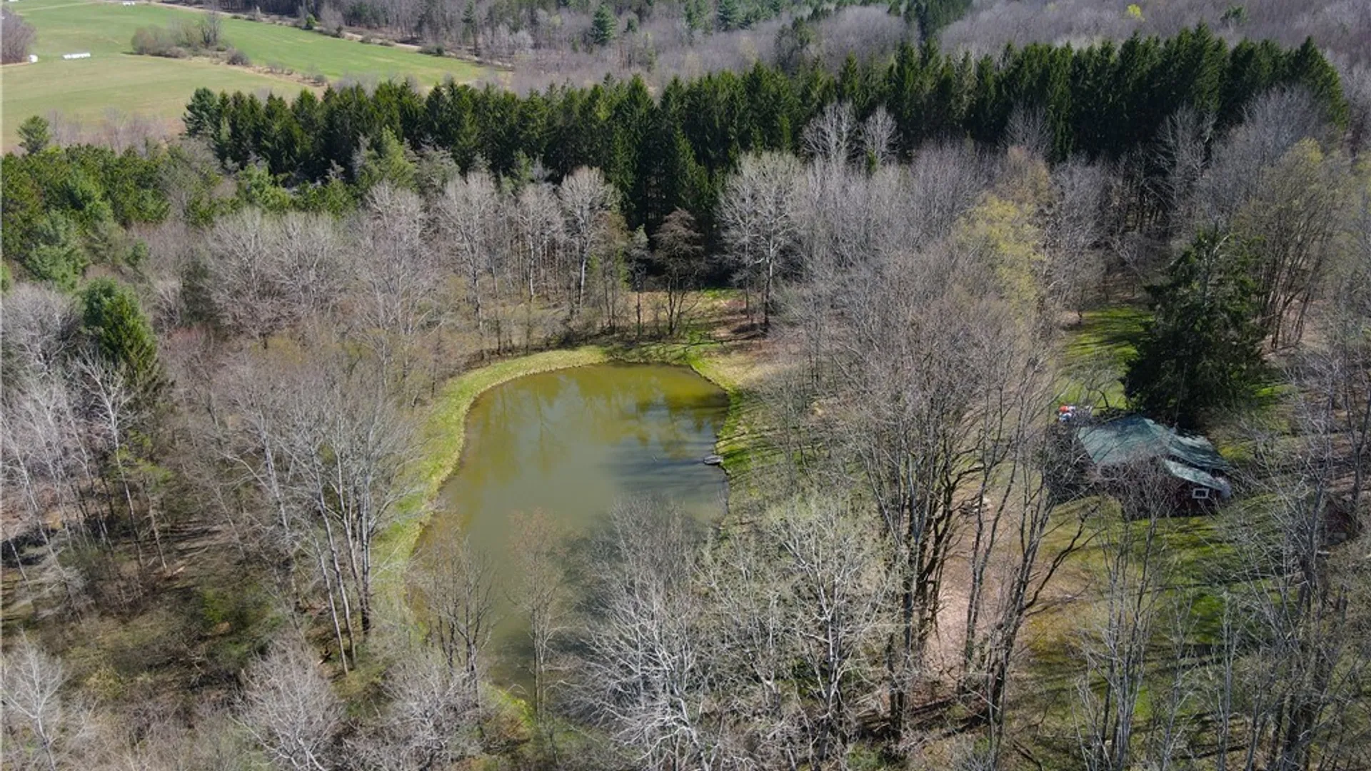 Property at 2856 Zimmer Road, Wirt, NY 14739 40