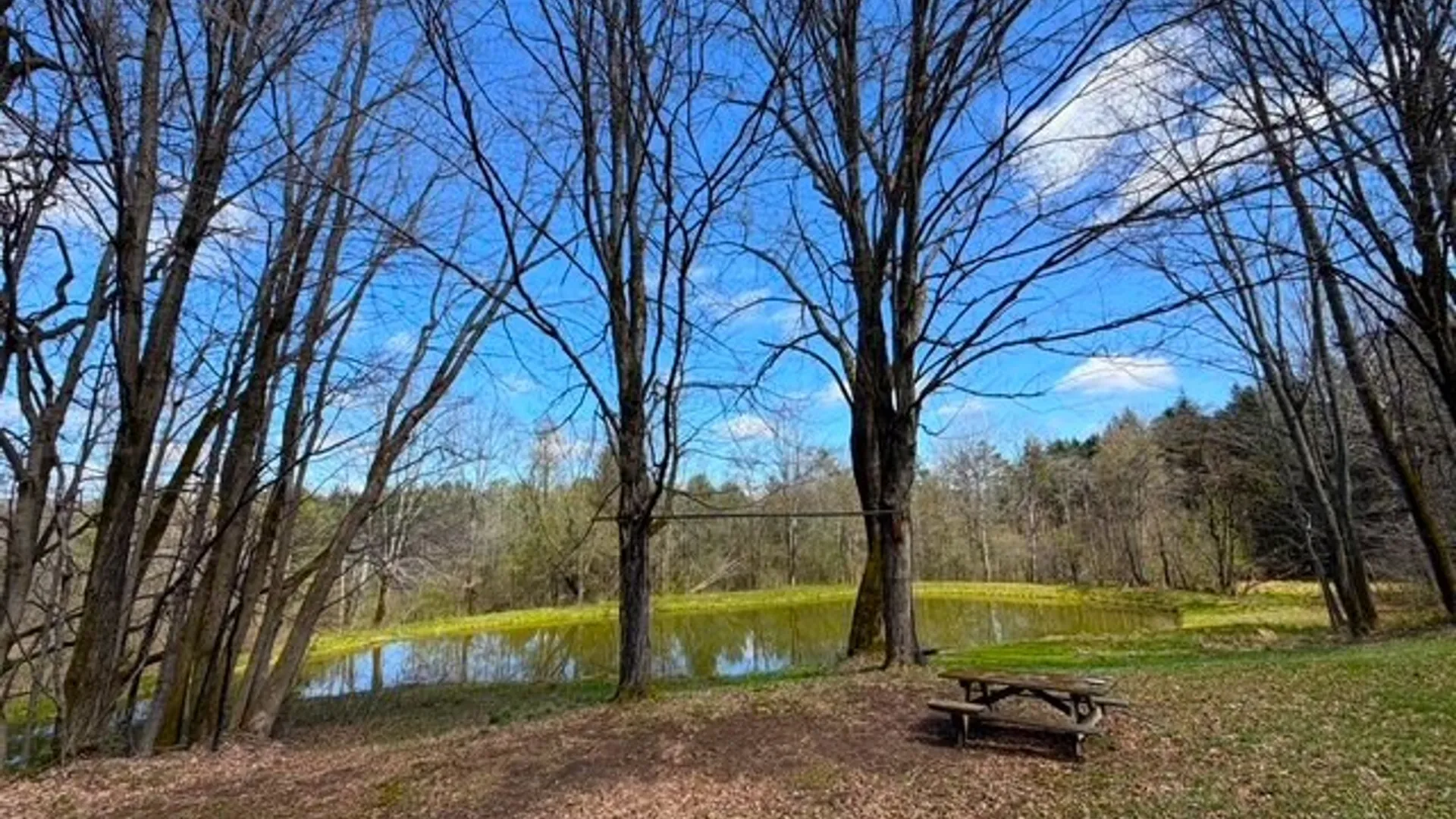 Property at 2856 Zimmer Road, Wirt, NY 14739 41