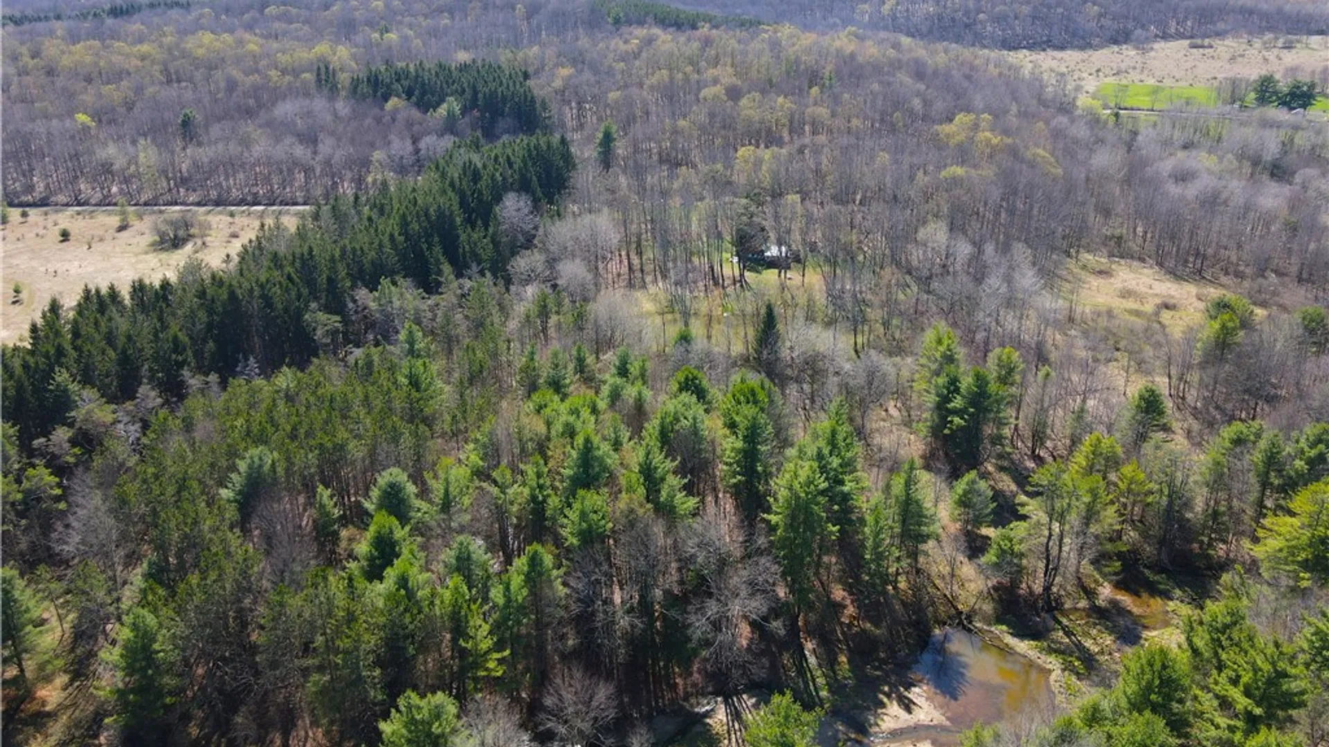 Property at 2856 Zimmer Road, Wirt, NY 14739 42