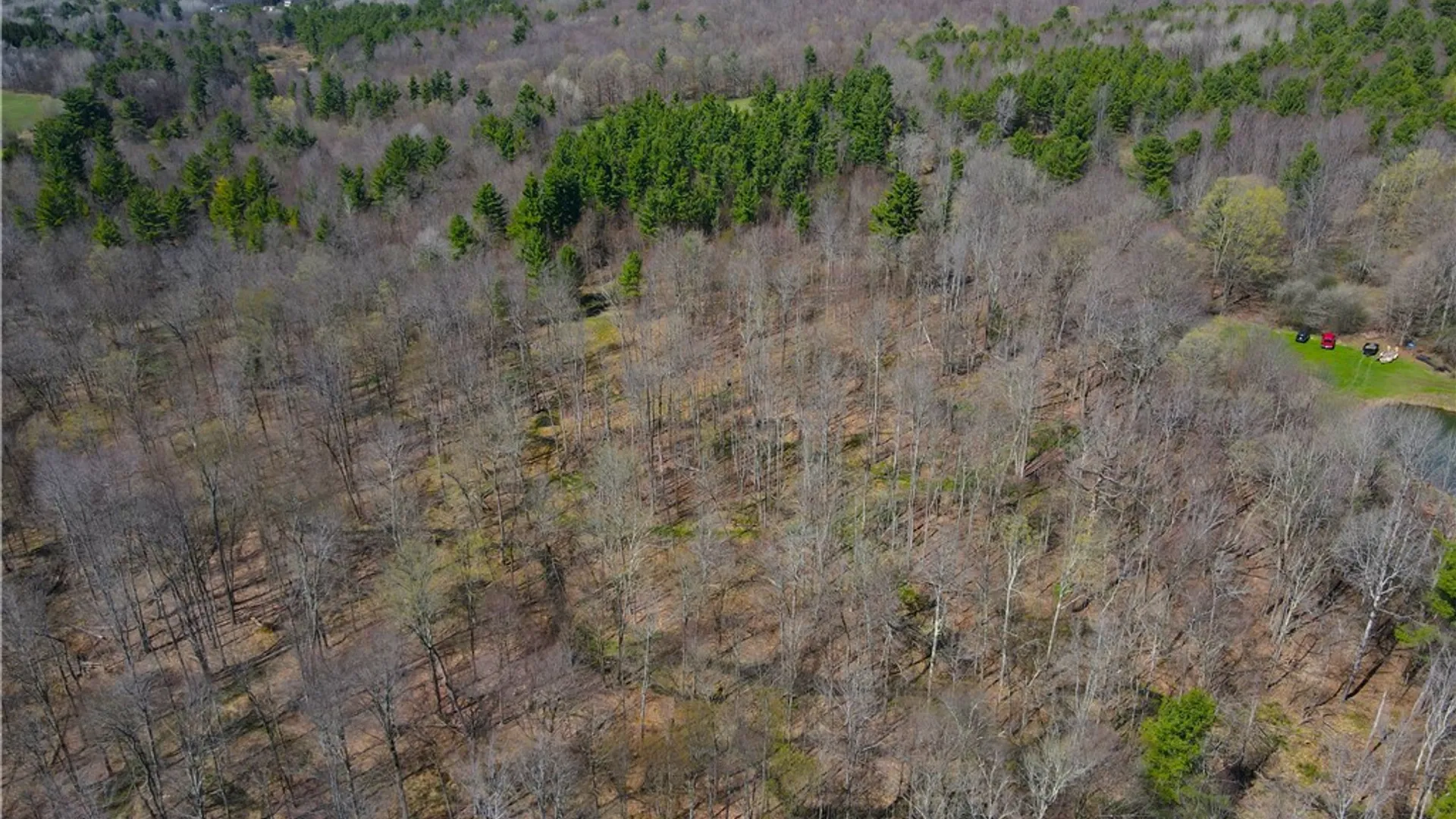 Property at 2856 Zimmer Road, Wirt, NY 14739 43