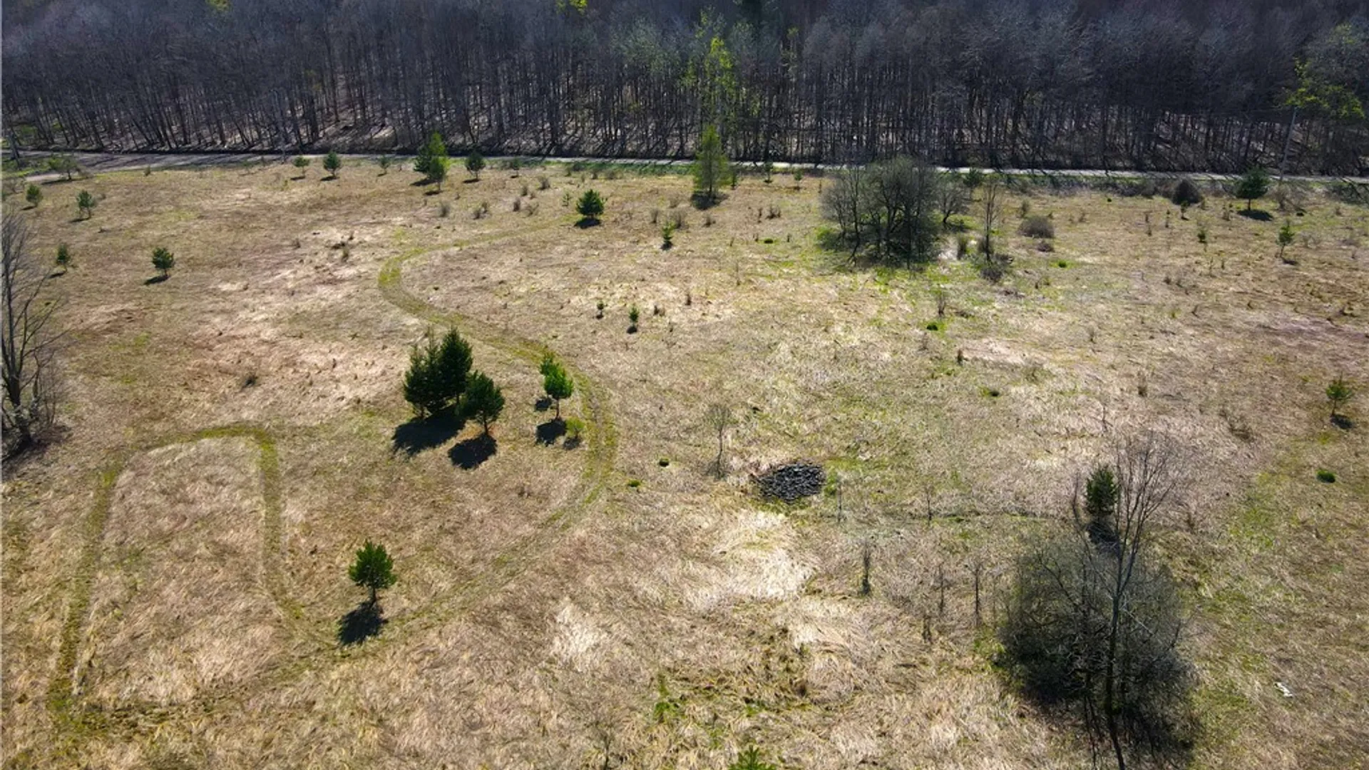 Property at 2856 Zimmer Road, Wirt, NY 14739 44