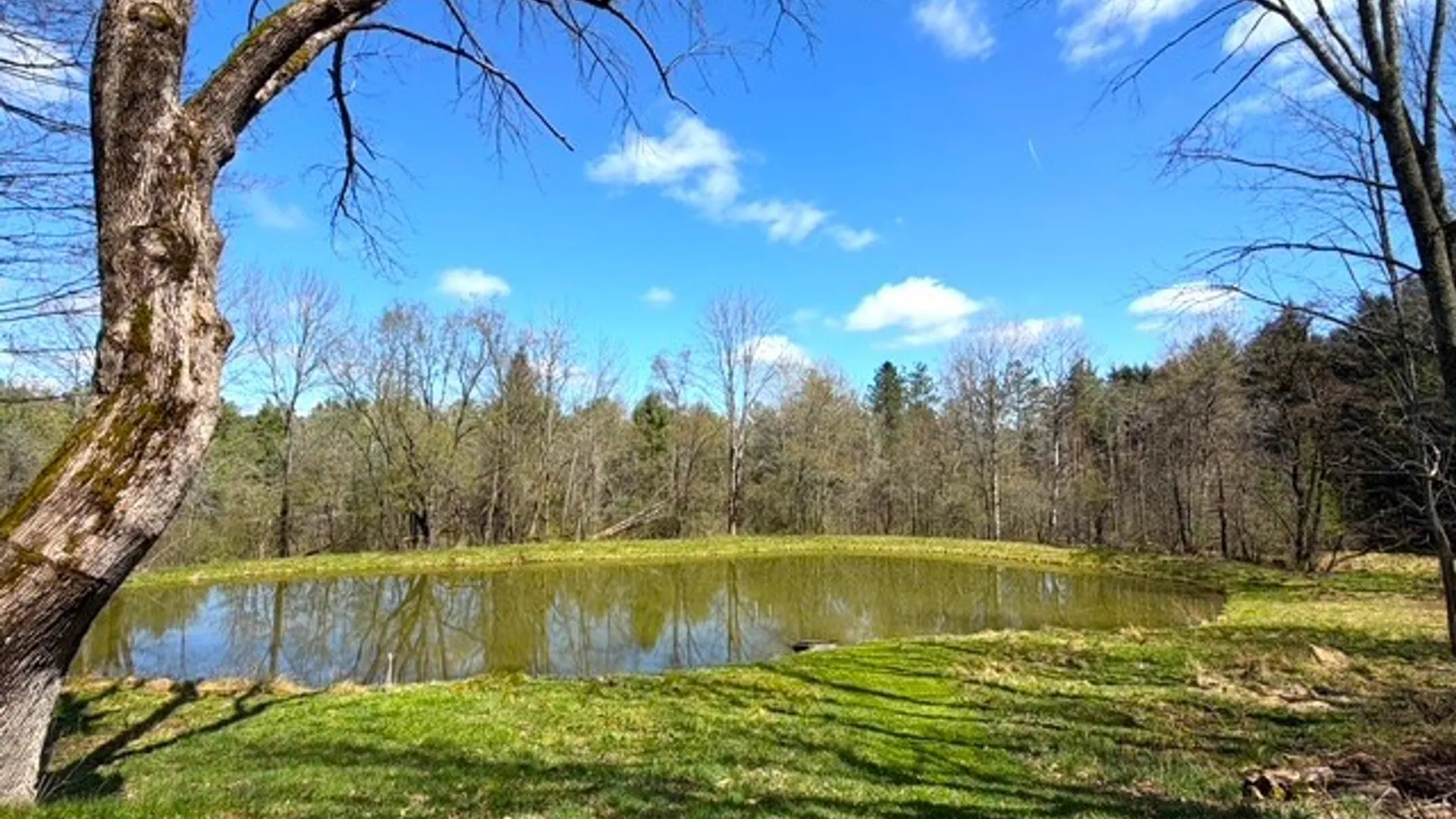 Property at 2856 Zimmer Road, Wirt, NY 14739 5