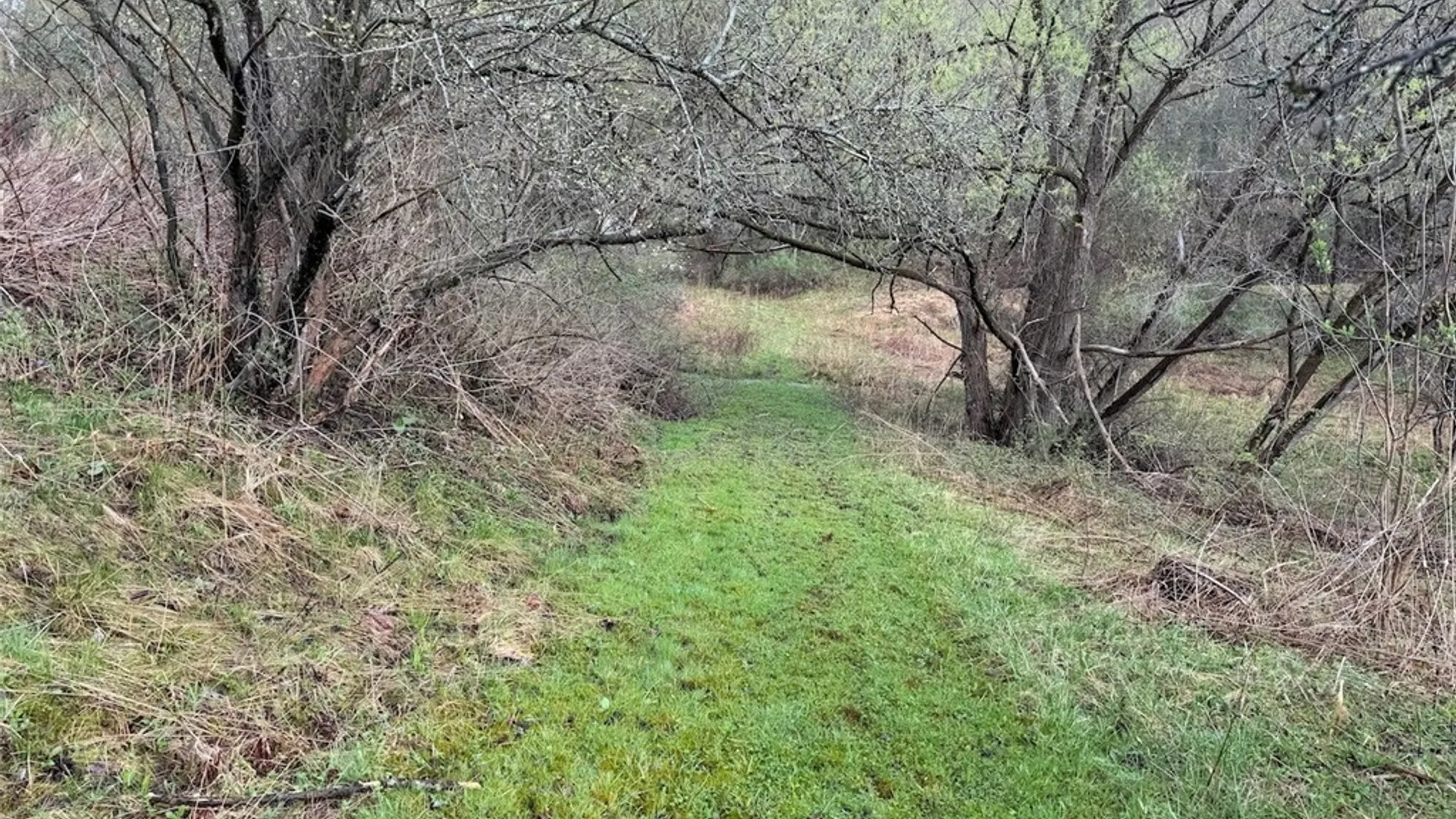 Property at McCann Hollow Road, Olean, NY 14760 10