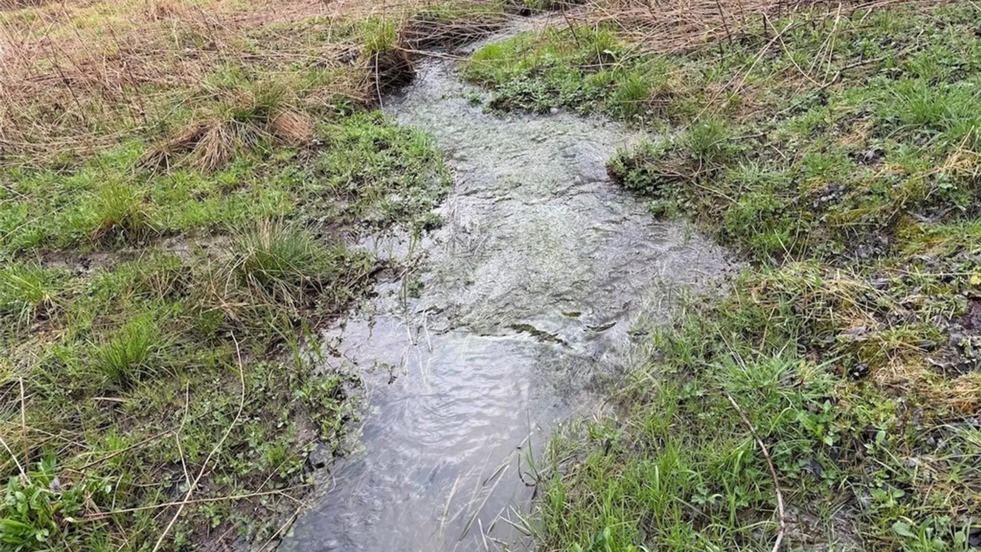 Property at McCann Hollow Road, Olean, NY 14760 11