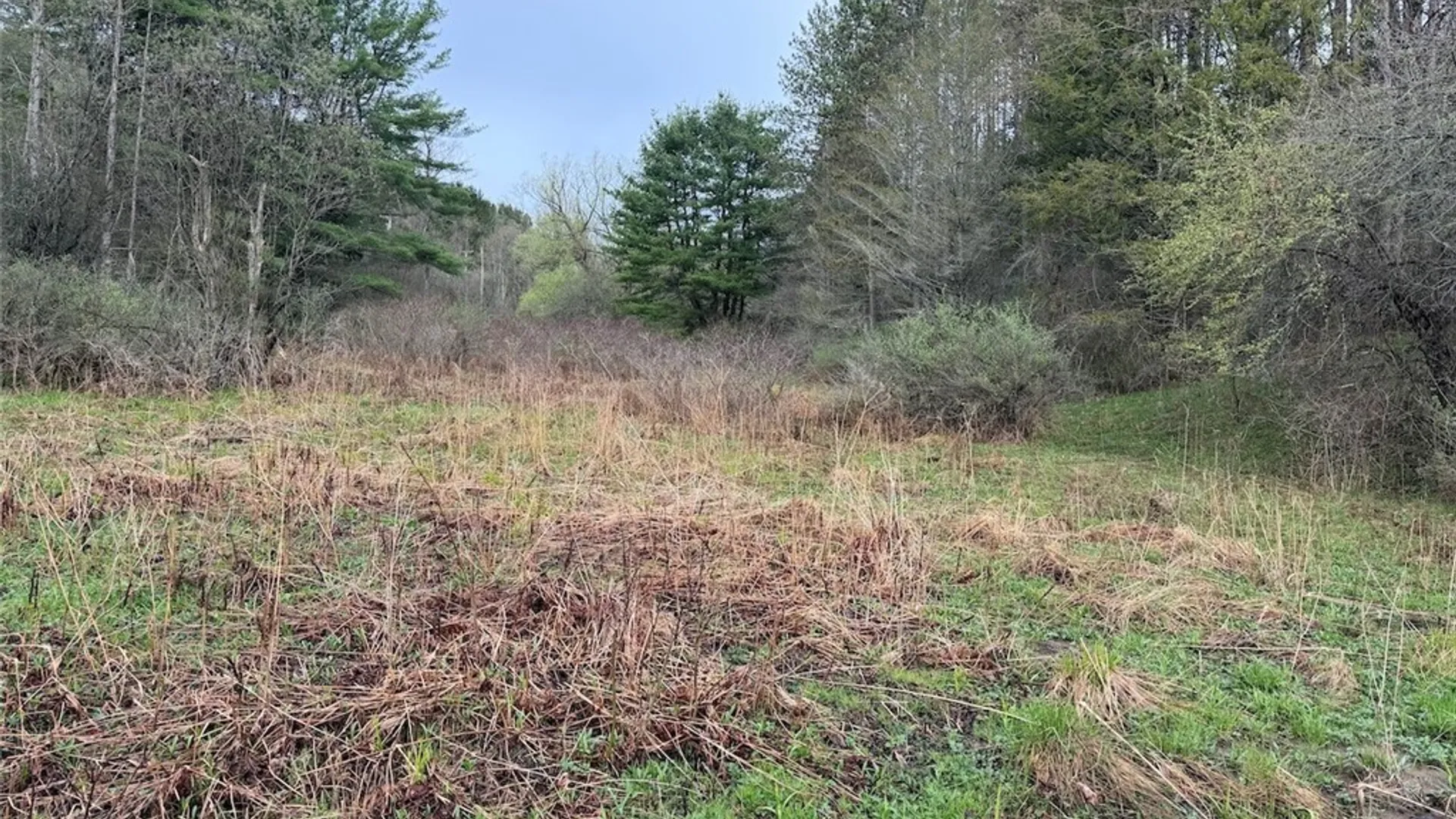 Property at McCann Hollow Road, Olean, NY 14760 12