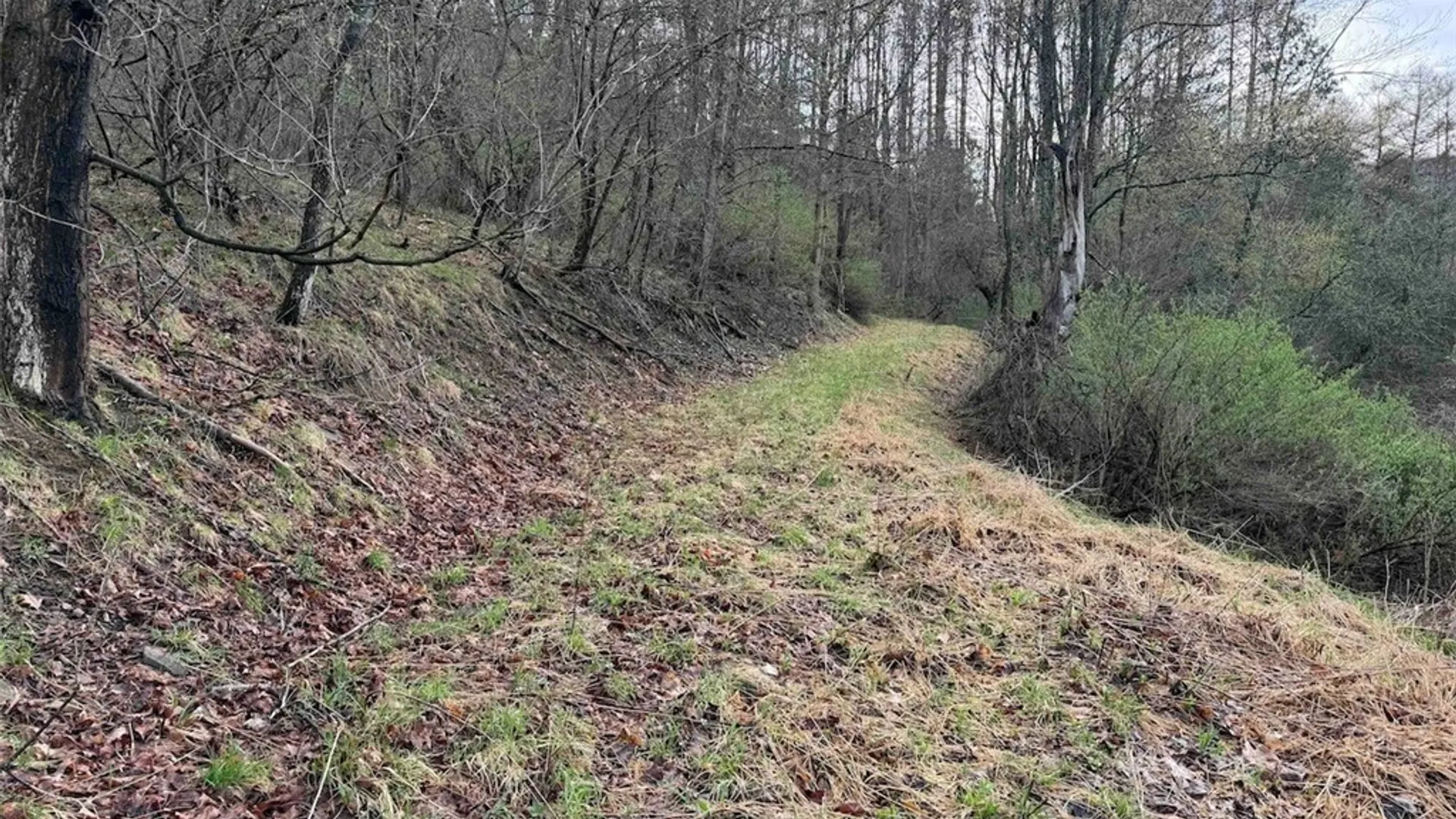 Property at McCann Hollow Road, Olean, NY 14760 13