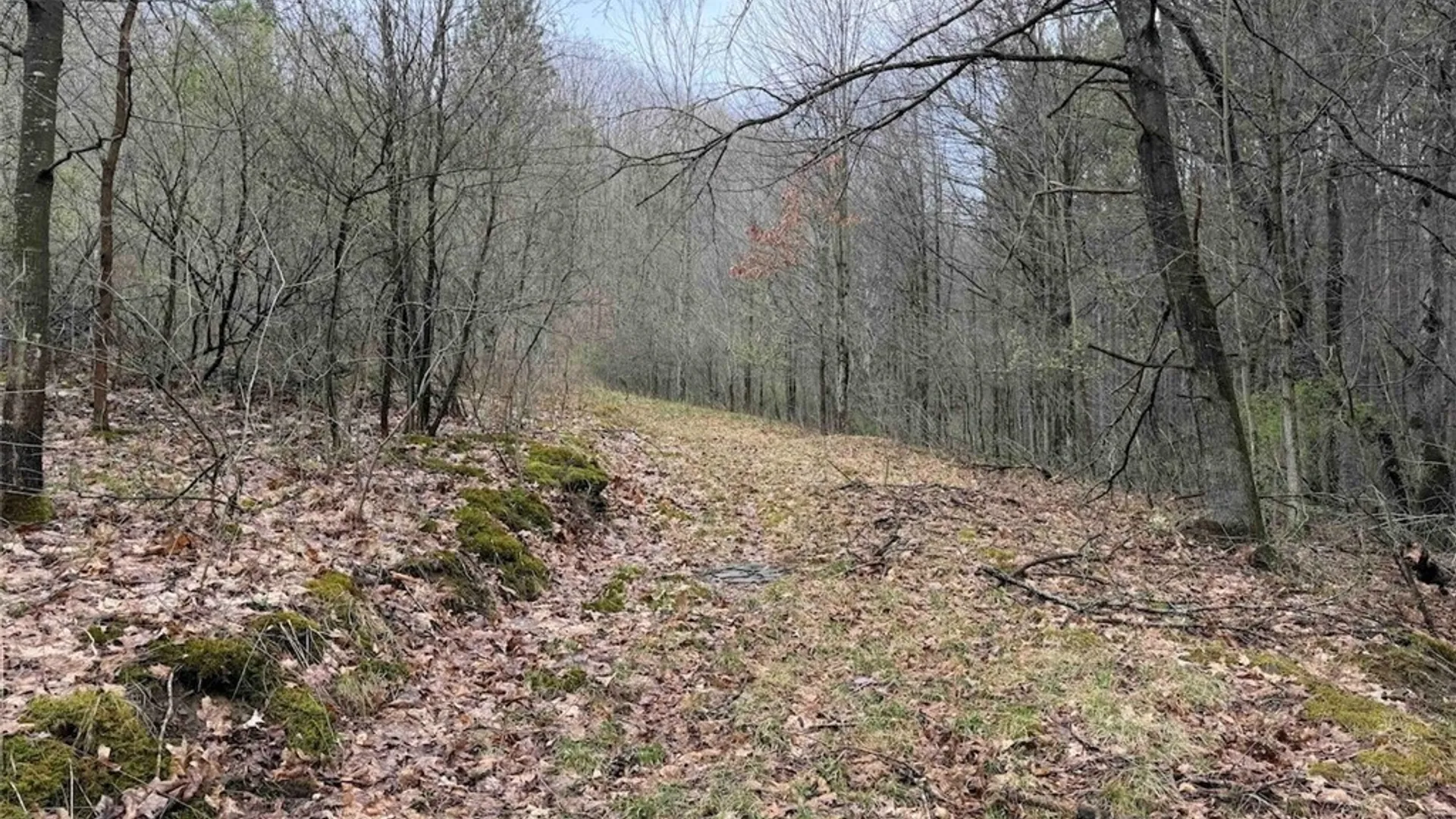 Property at McCann Hollow Road, Olean, NY 14760 14