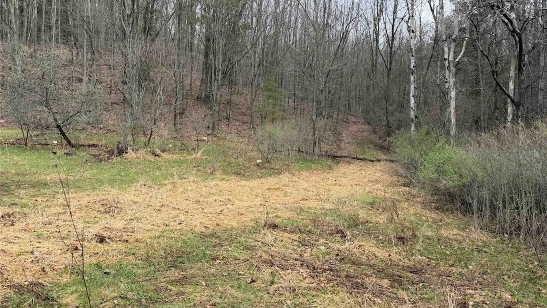Property at McCann Hollow Road, Olean, NY 14760 15