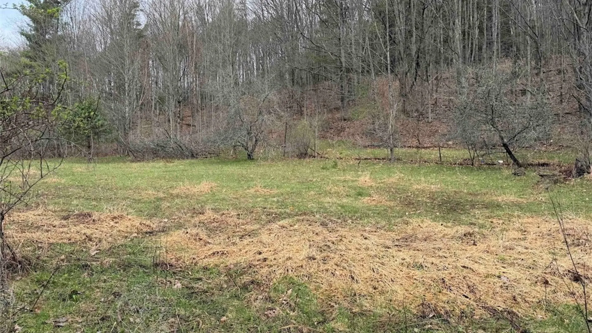 Property at McCann Hollow Road, Olean, NY 14760 16