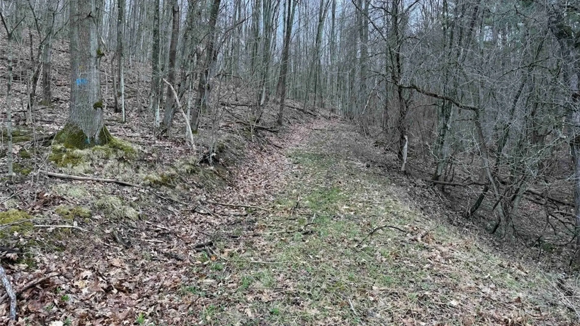 Property at McCann Hollow Road, Olean, NY 14760 18