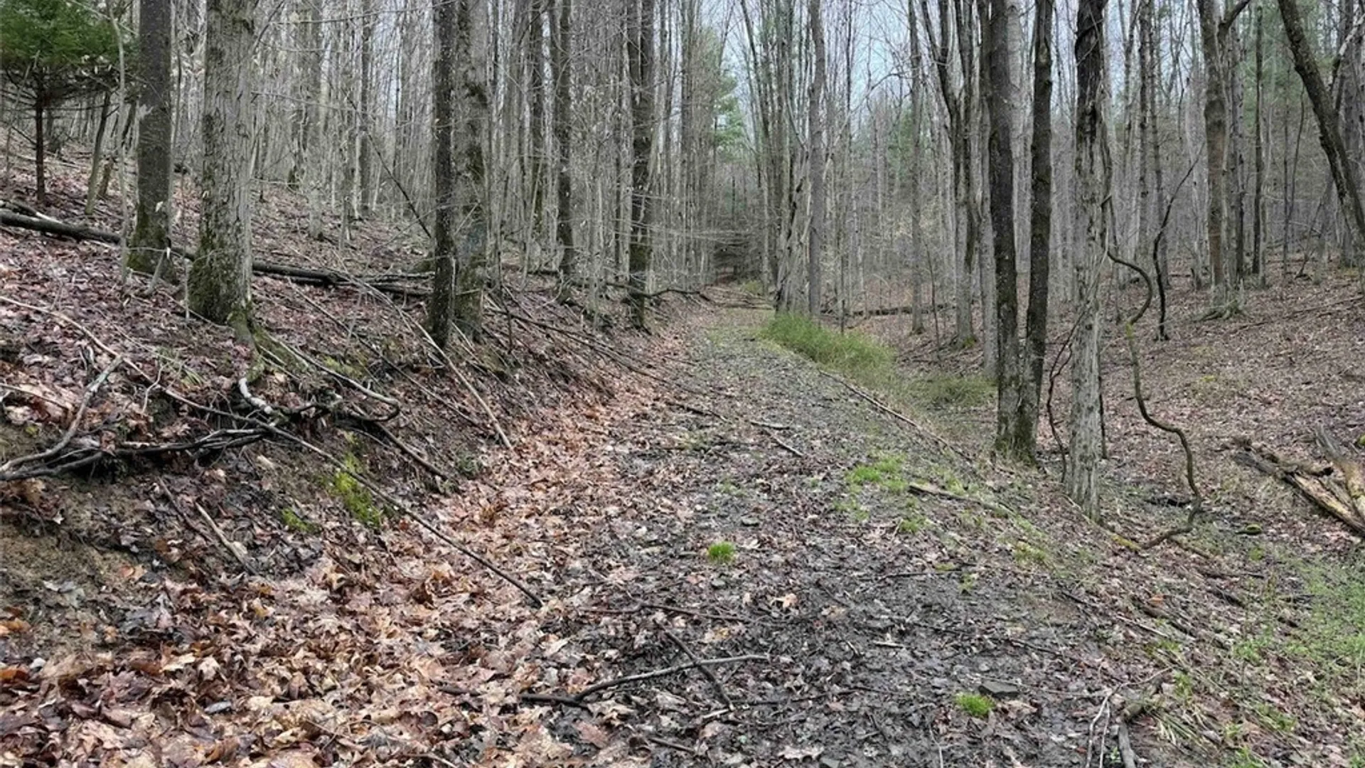 Property at McCann Hollow Road, Olean, NY 14760 19