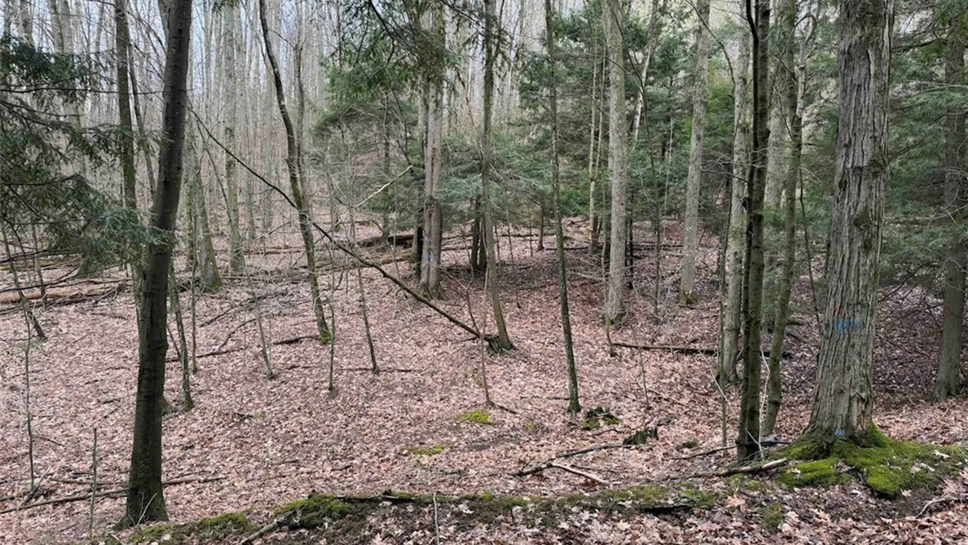 Property at McCann Hollow Road, Olean, NY 14760 21