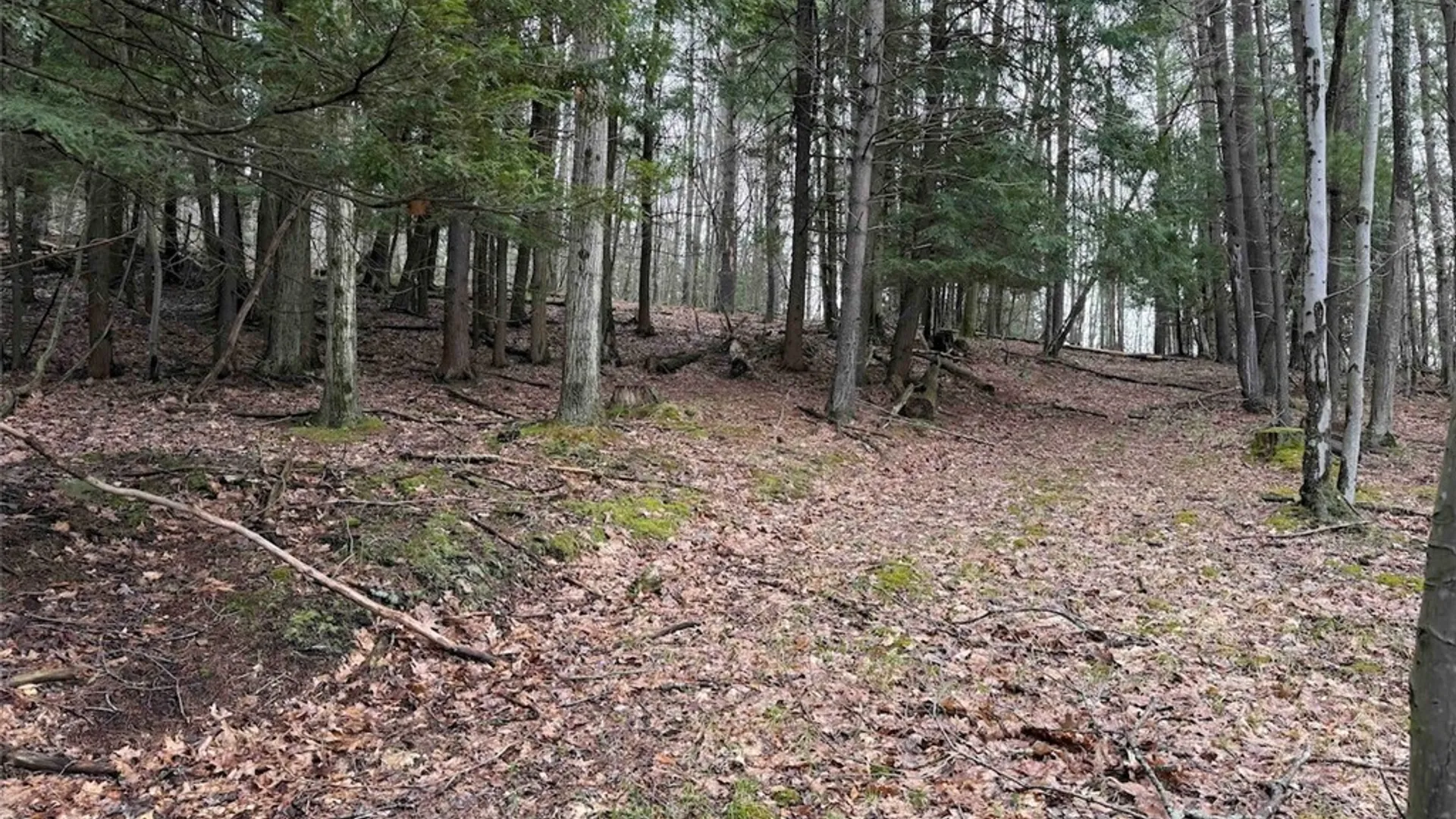 Property at McCann Hollow Road, Olean, NY 14760 23